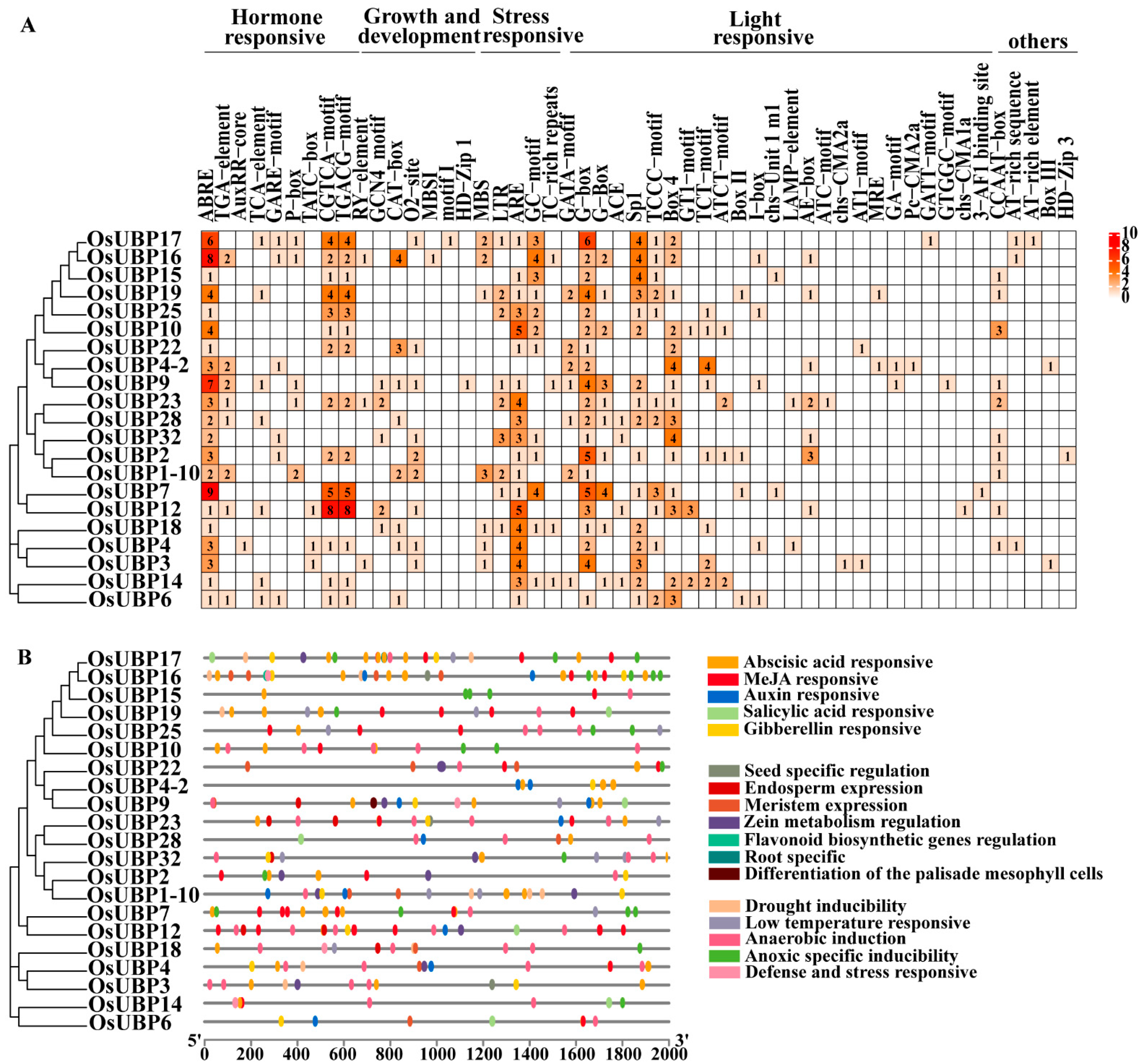 Agronomy 13 02809 g007