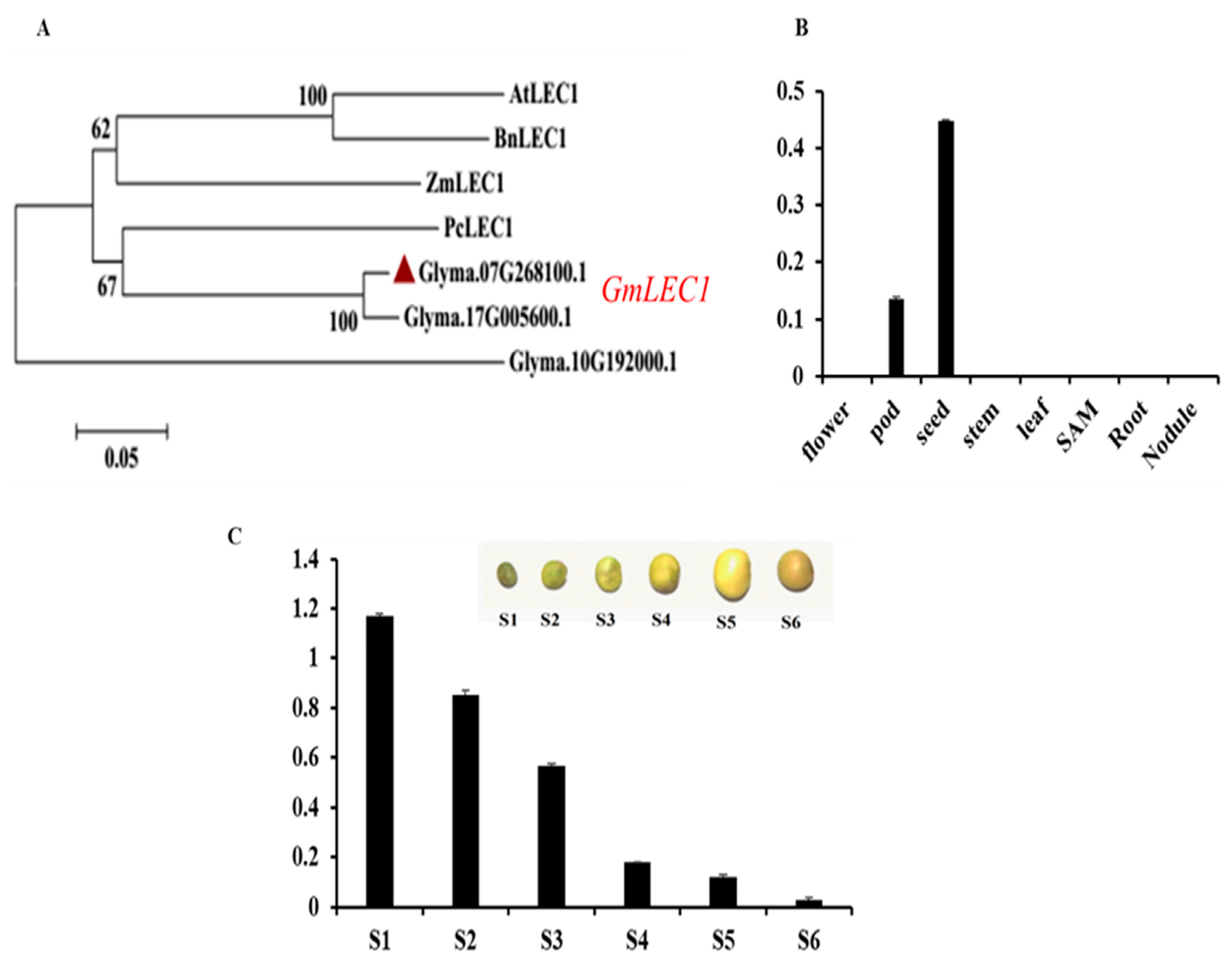 Agronomy 13 02810 g001