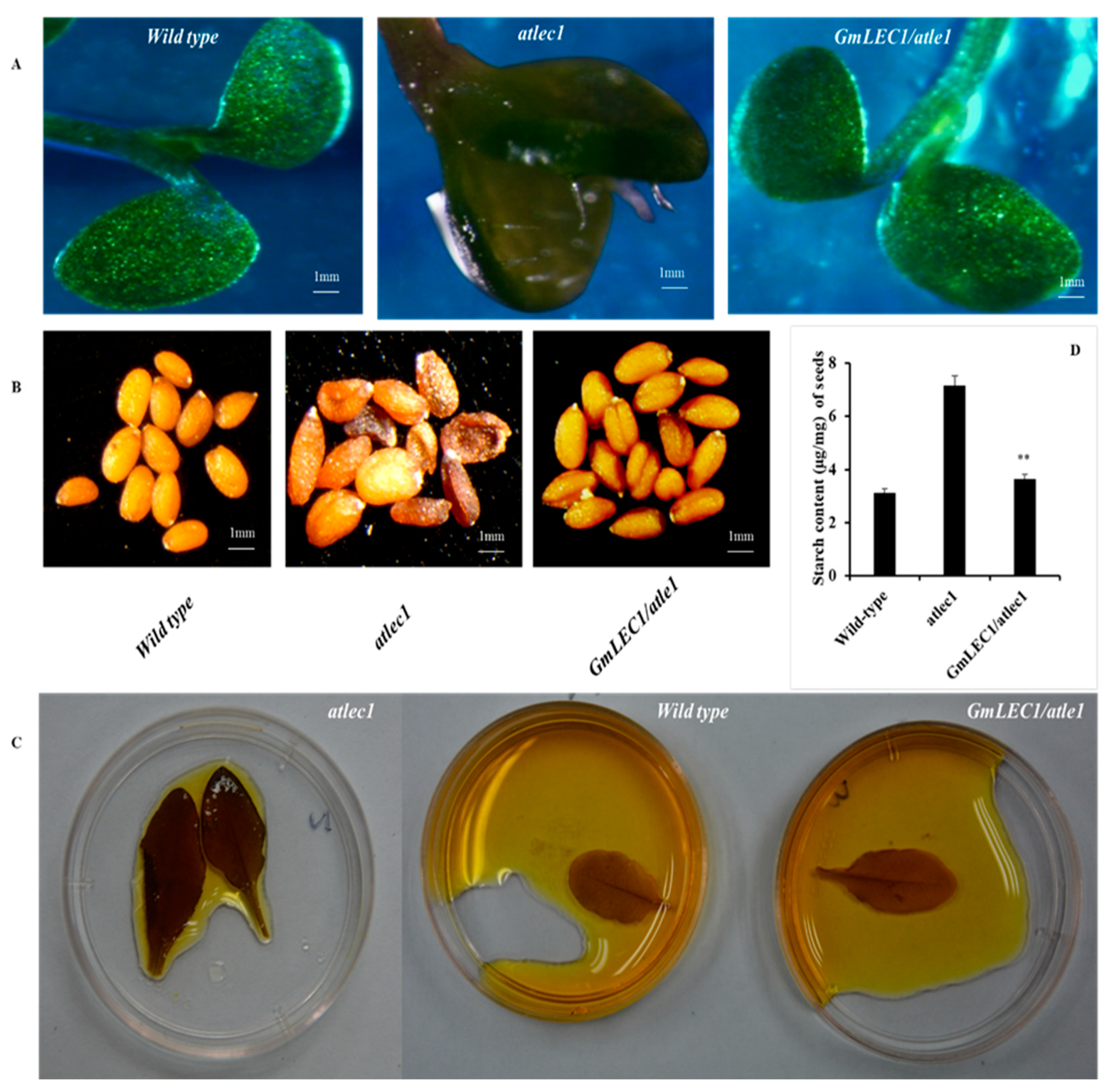 Agronomy 13 02810 g002