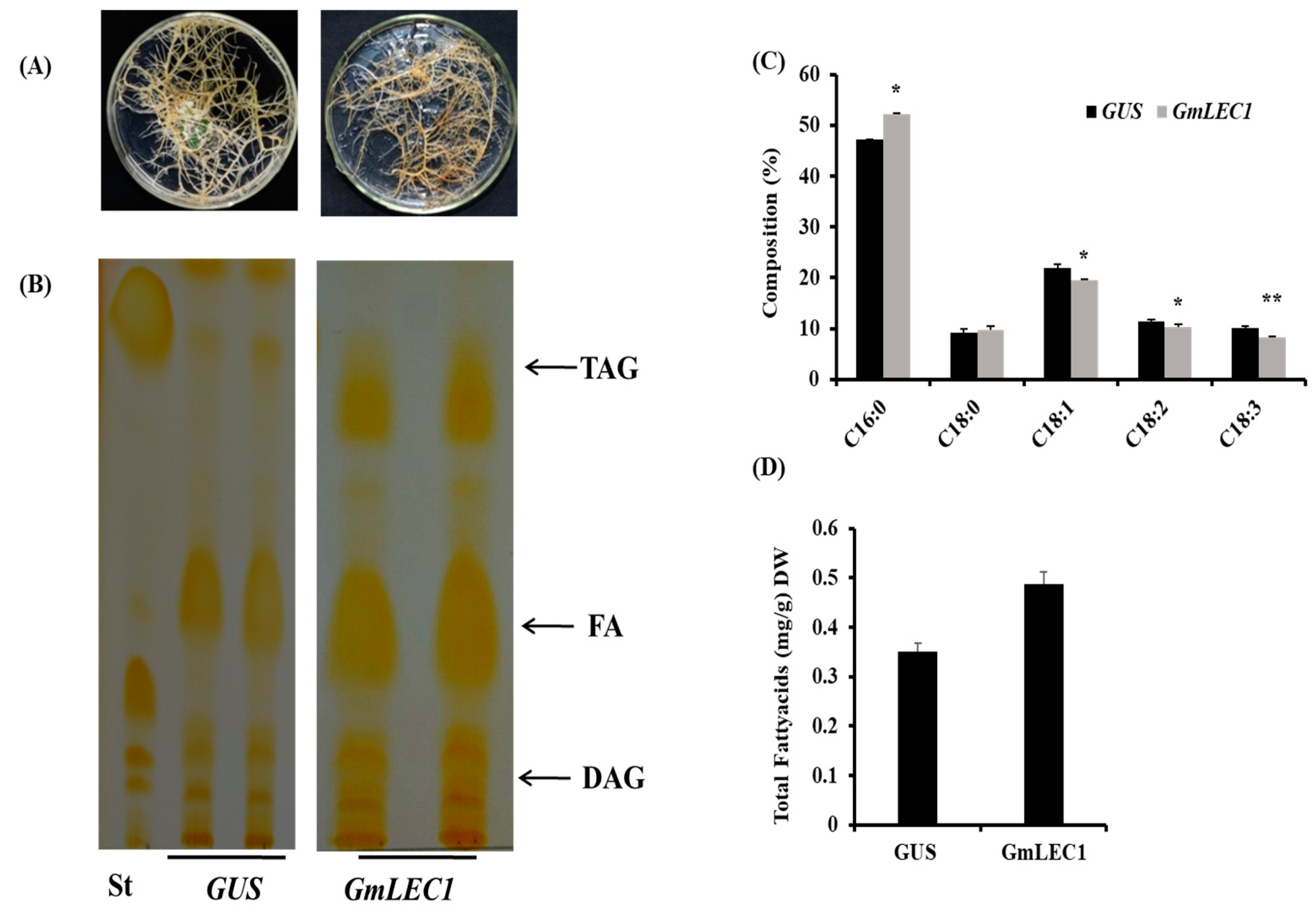 Agronomy 13 02810 g004