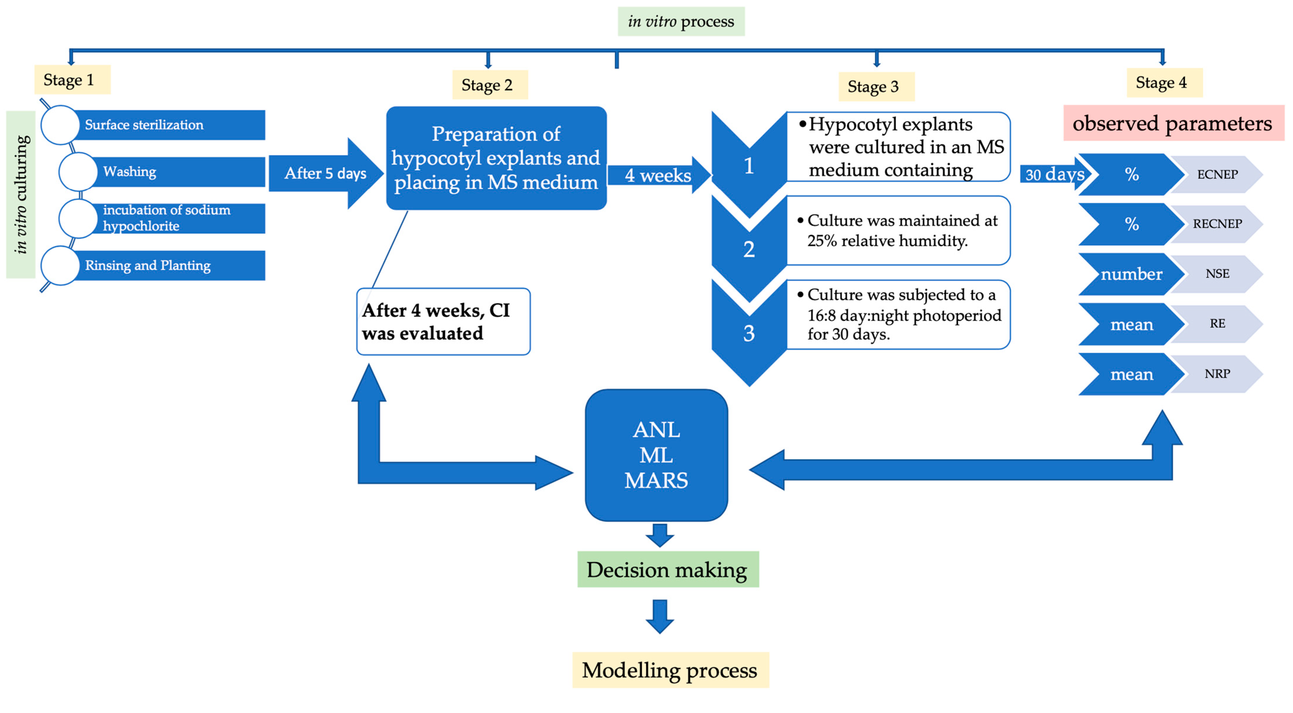 Agronomy 13 02835 g001
