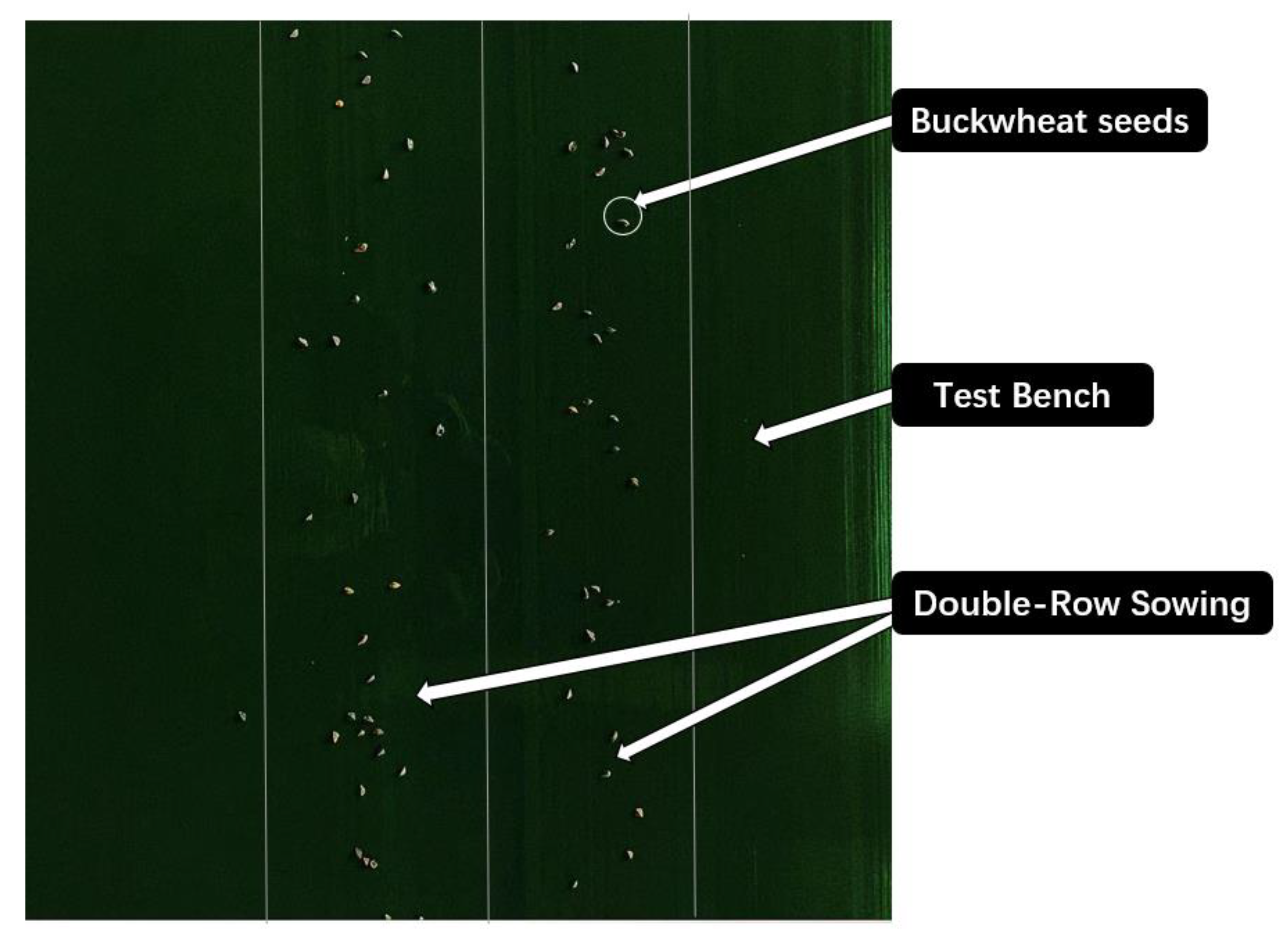Agronomy 13 02857 g017