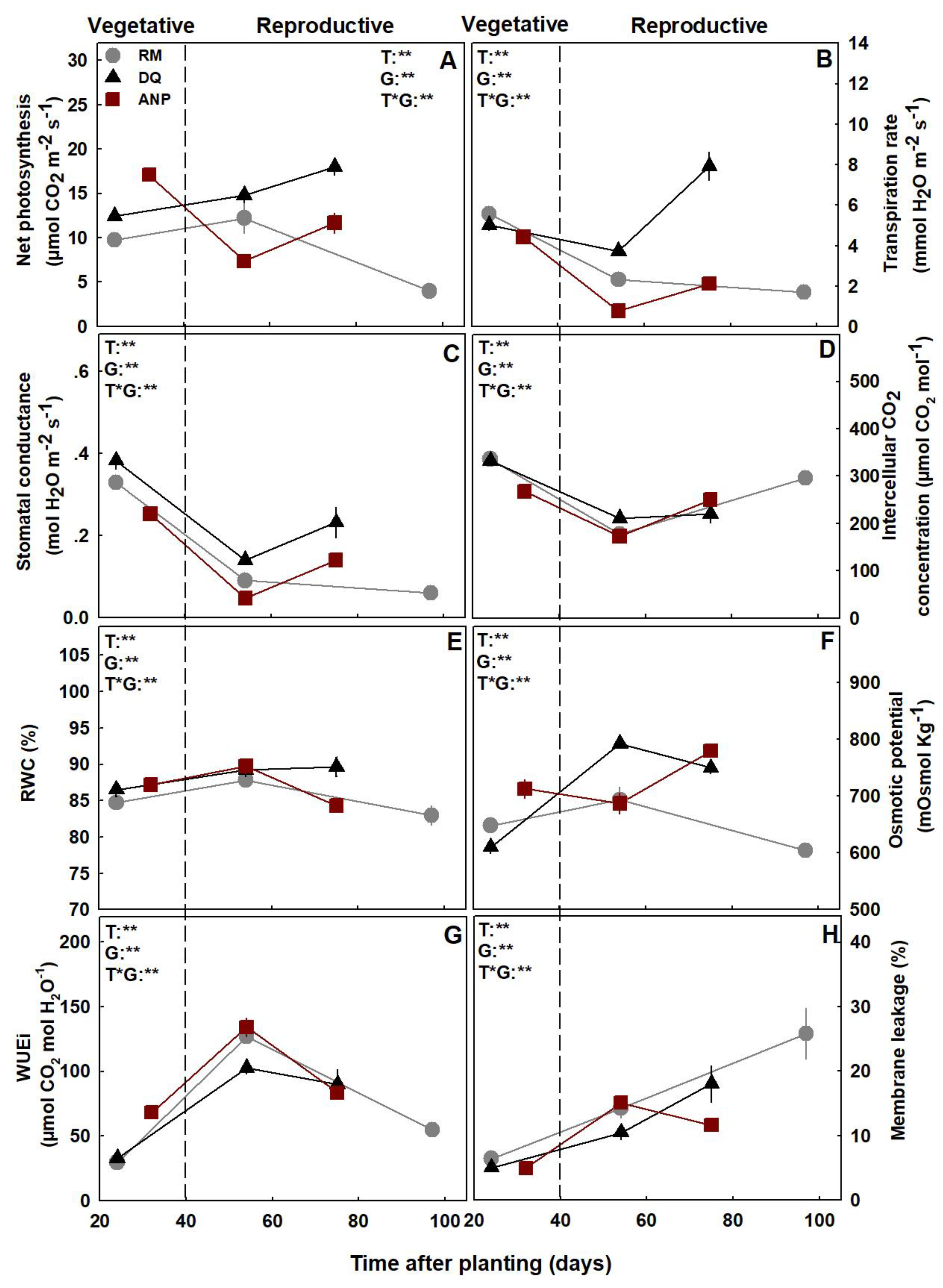 Agronomy 13 02865 g004 Agronomy 13 02865 g004