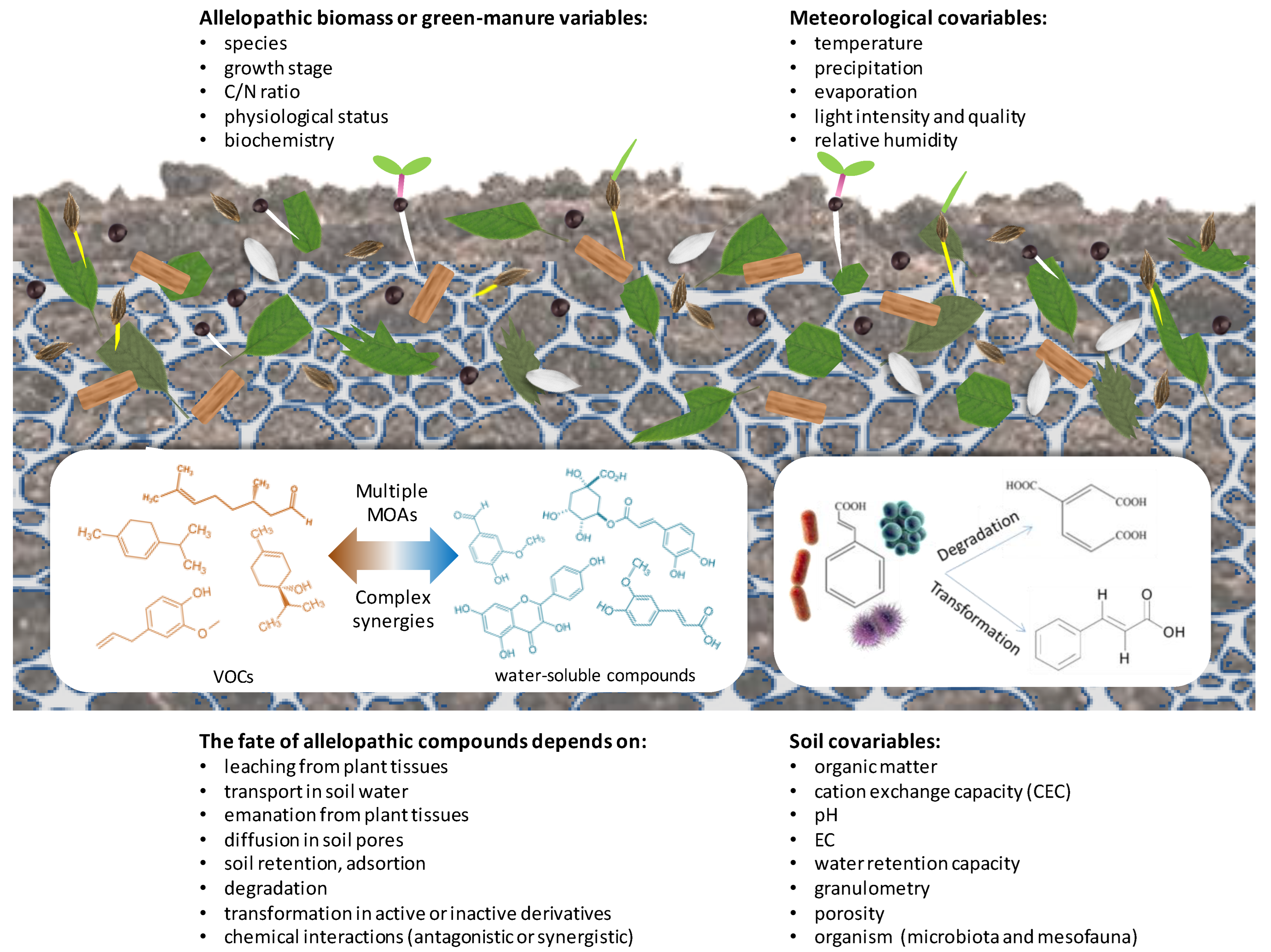 Agronomy 13 02880 g001