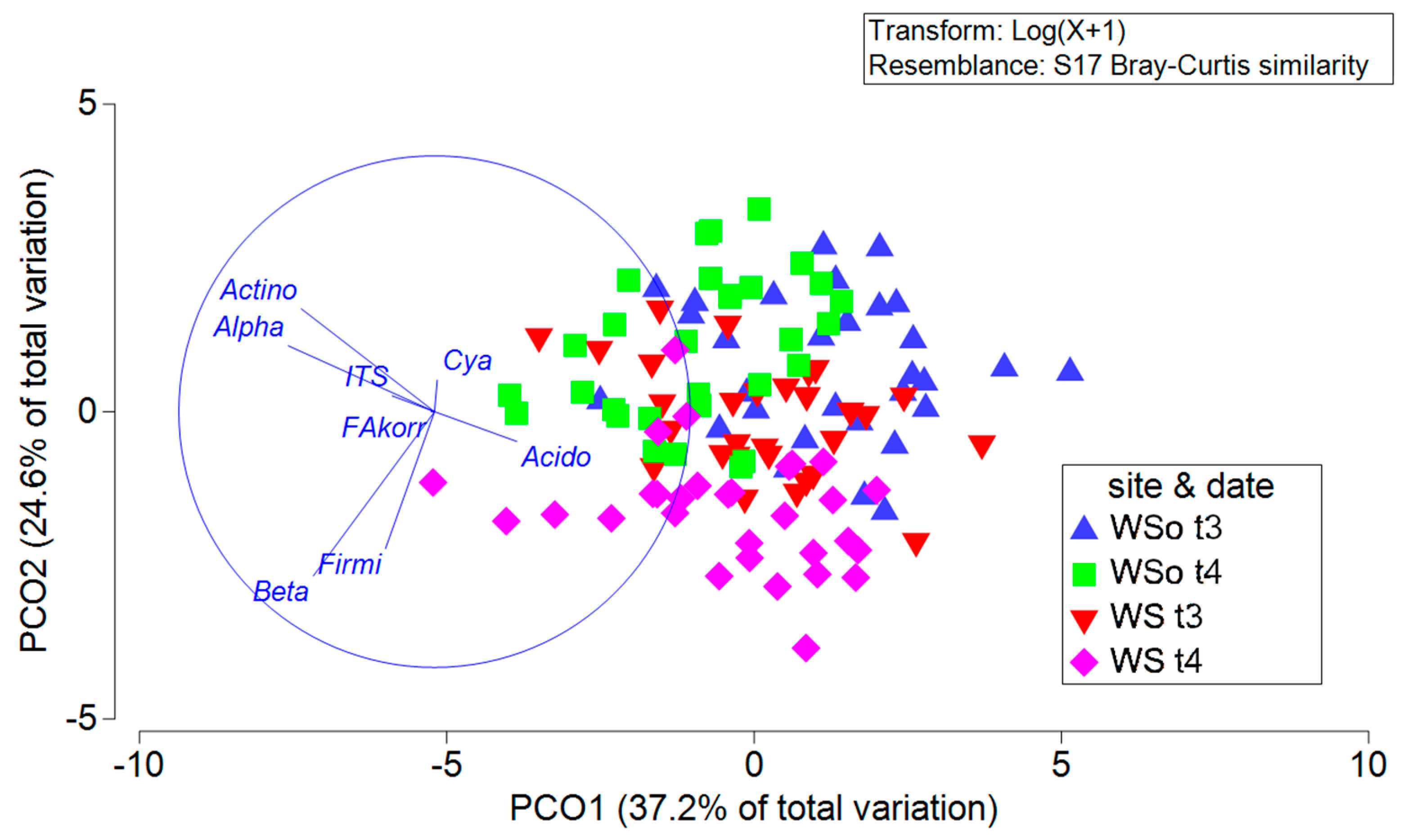 Agronomy 13 02900 g004