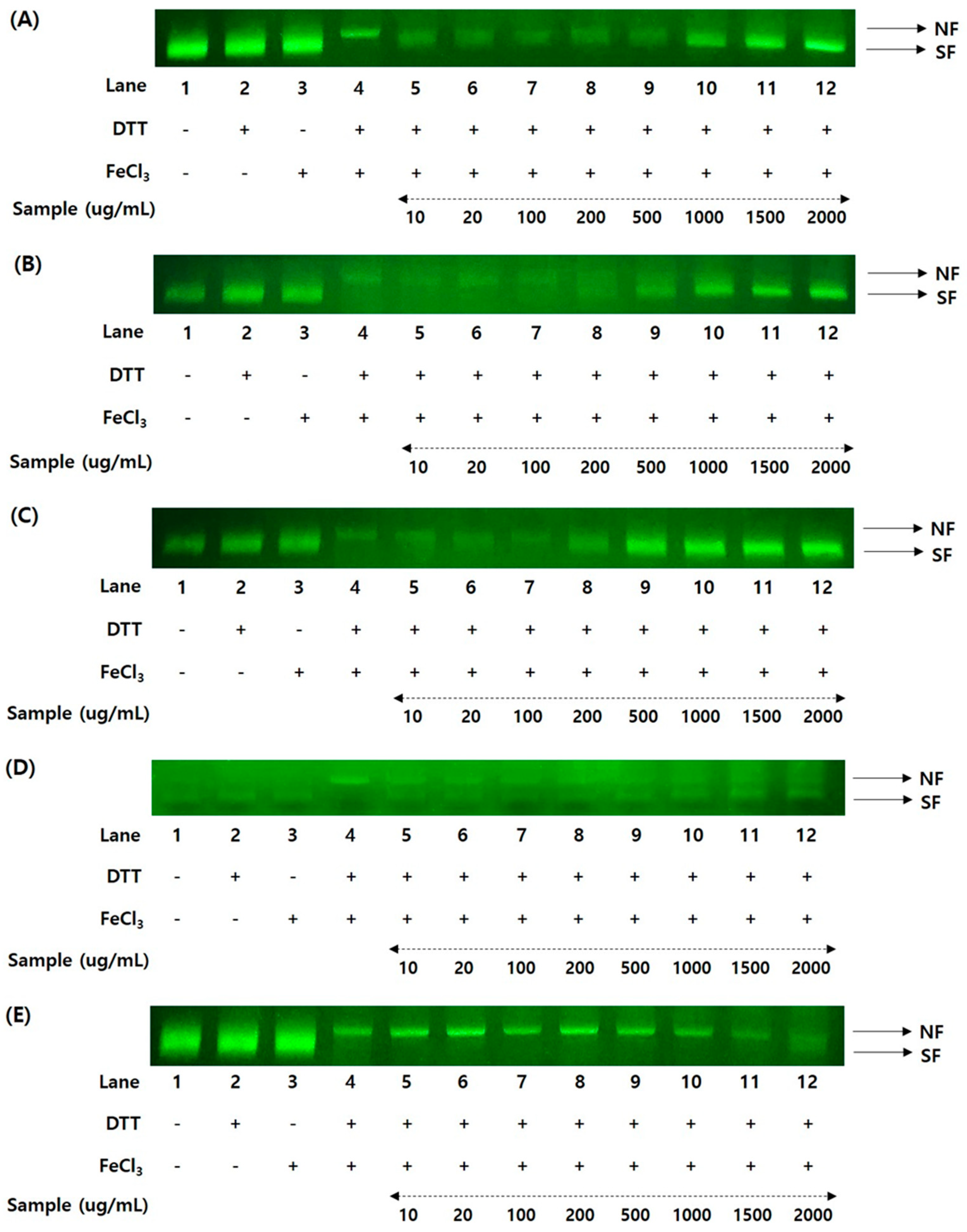 Agronomy 13 02914 g004