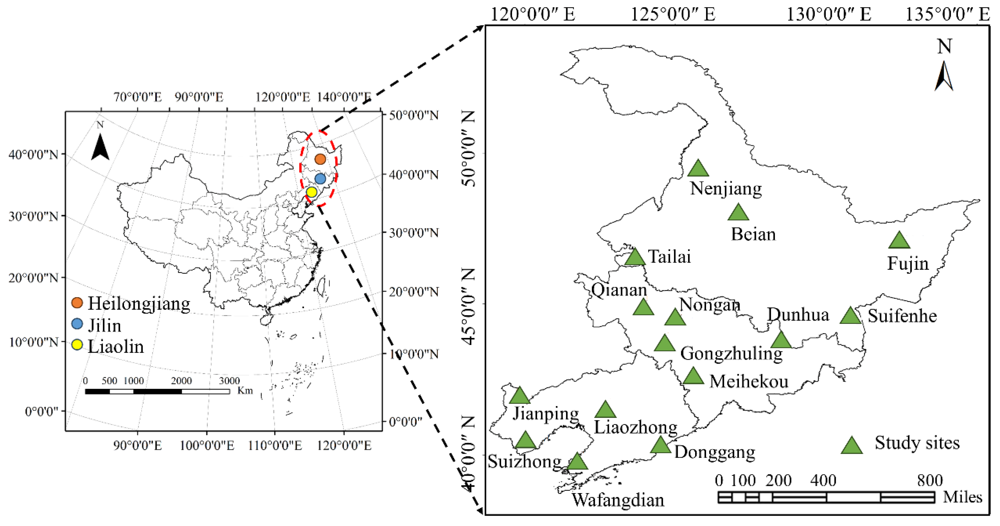 Agronomy 13 02920 g001