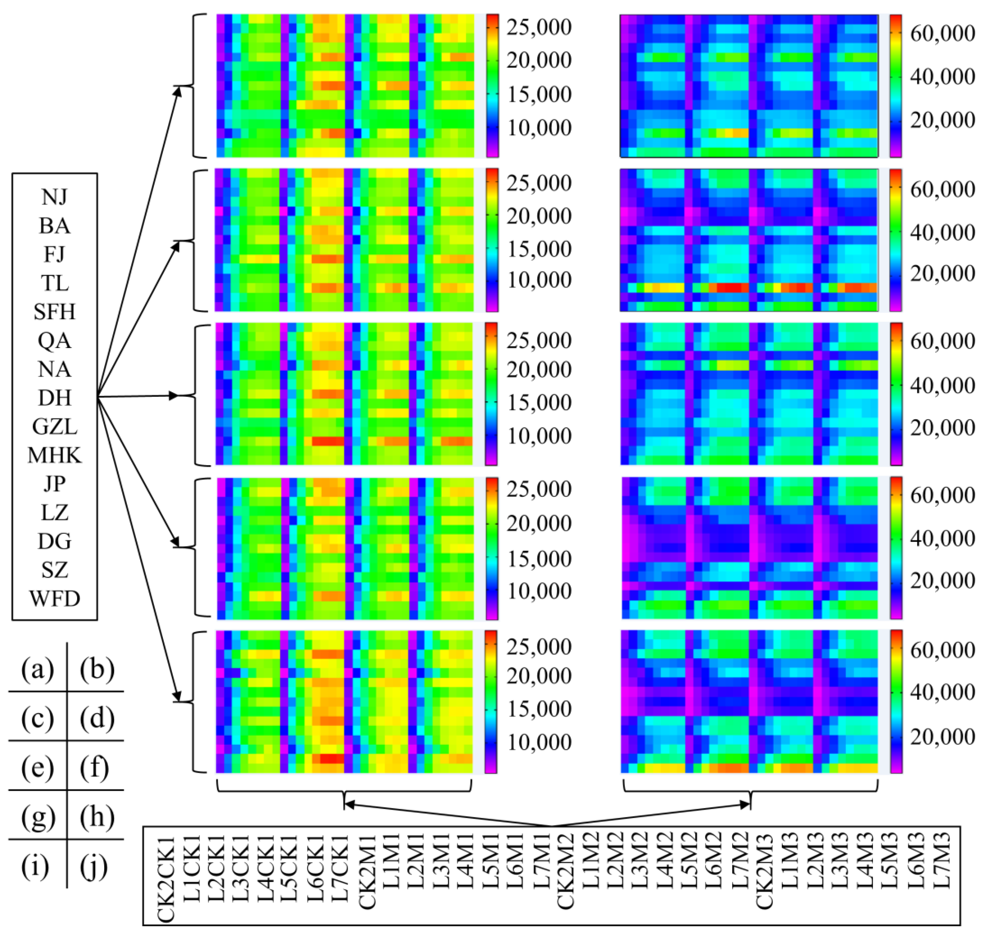 Agronomy 13 02920 g007