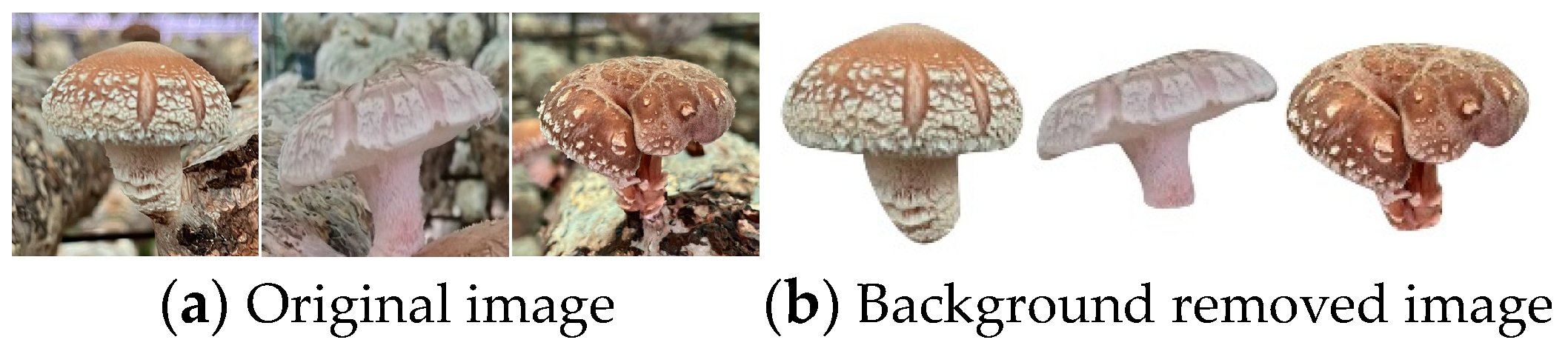 Agronomy 13 02924 g002