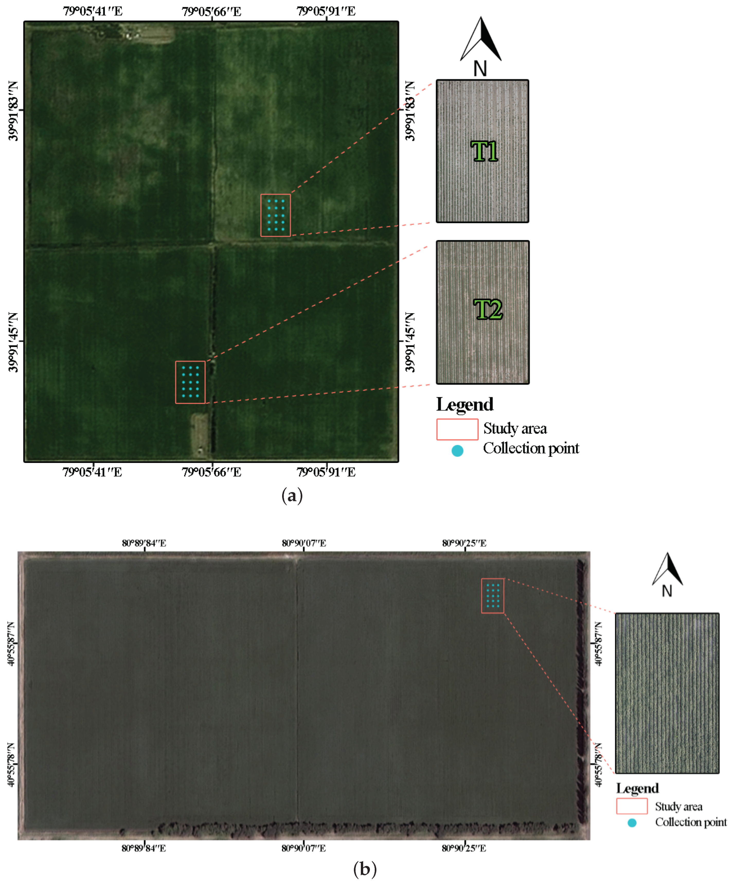 Agronomy | Free Full-Text | A Cotton Leaf Water Potential 