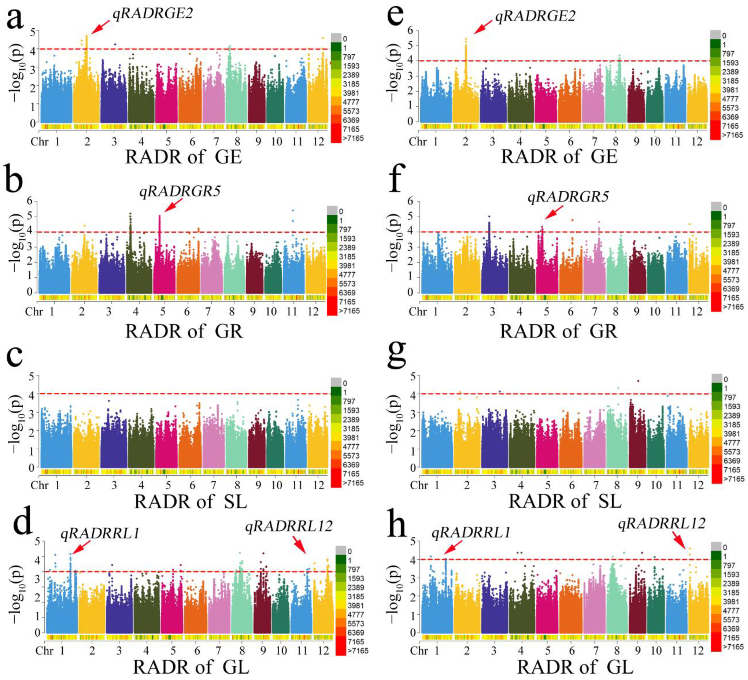 Agronomy 13 02954 g004