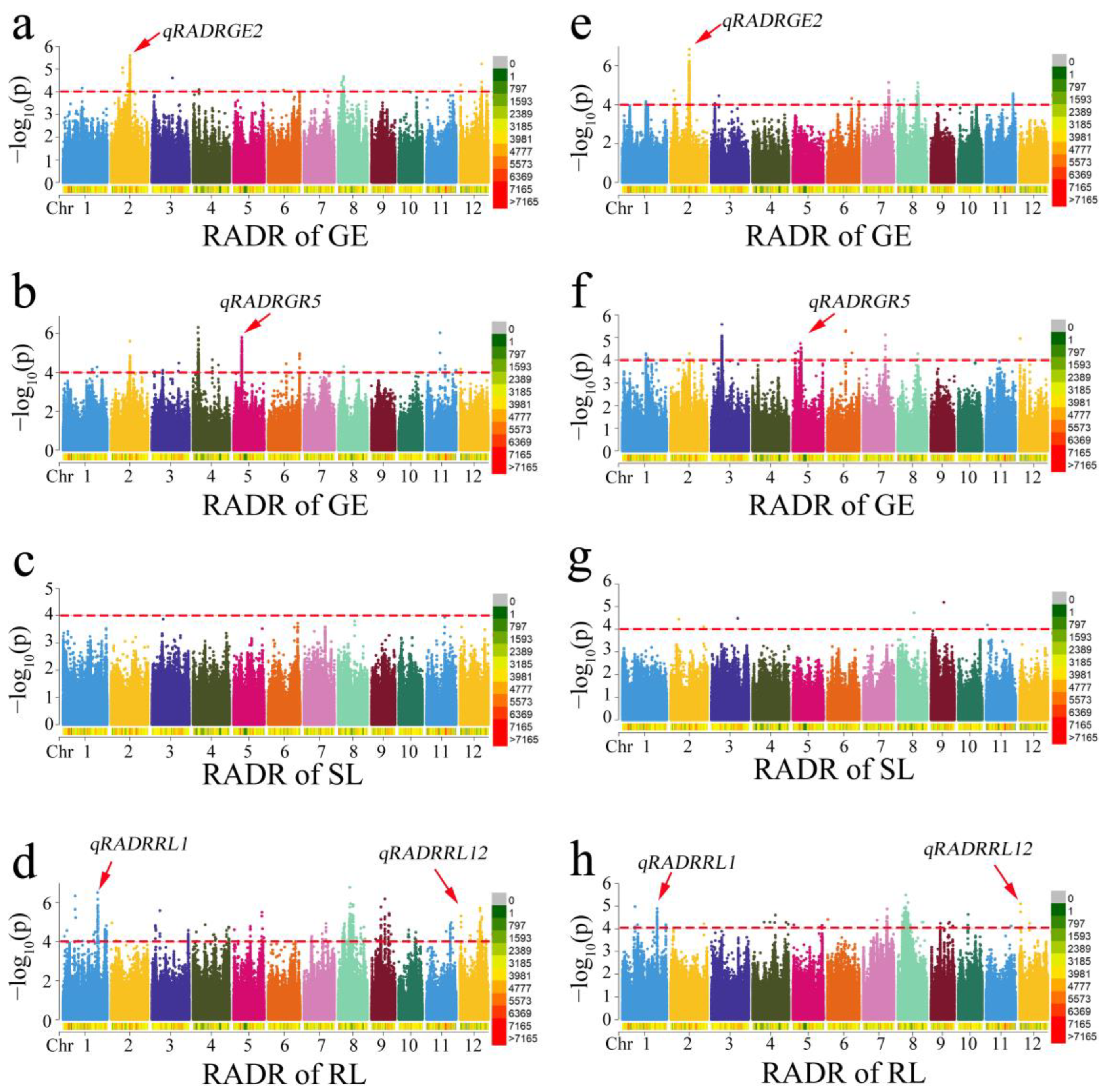 Agronomy 13 02954 g005