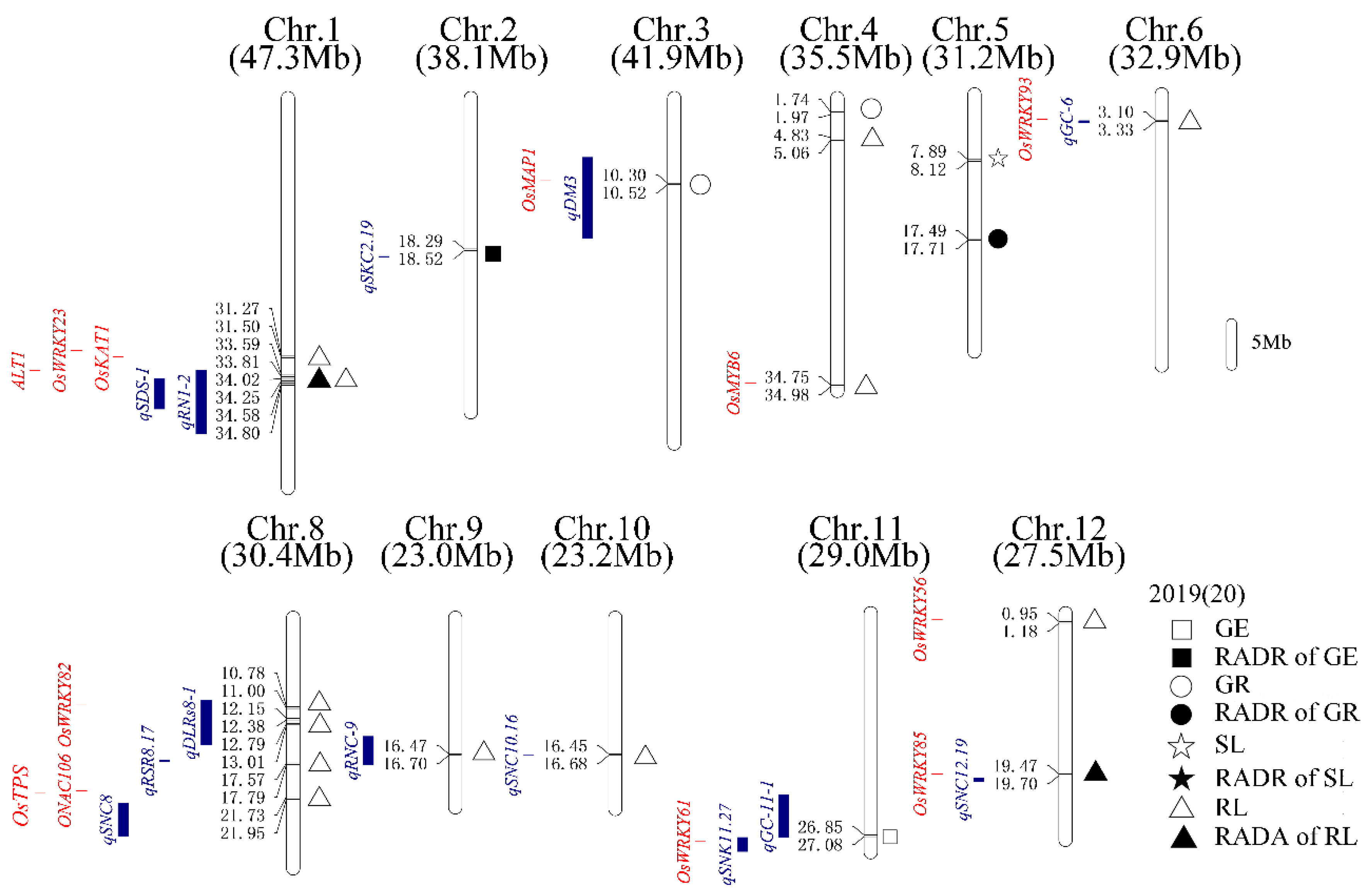 Agronomy 13 02954 g006