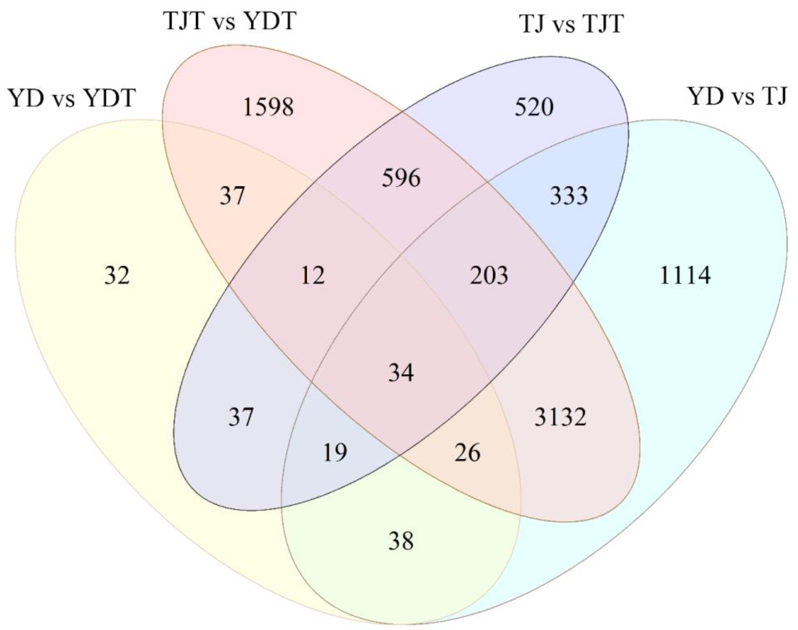 Agronomy 13 02954 g008