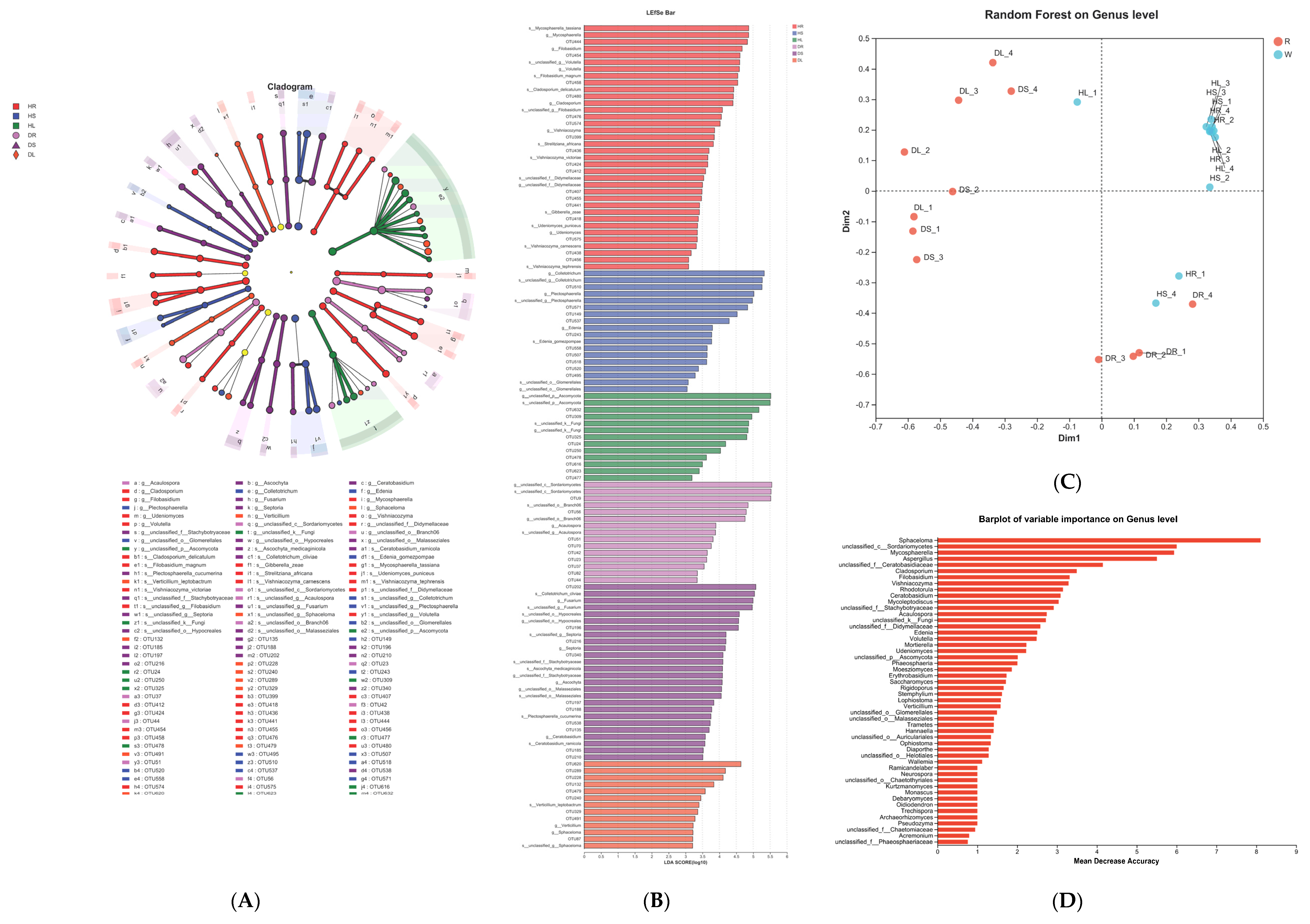 Agronomy 13 02965 g007