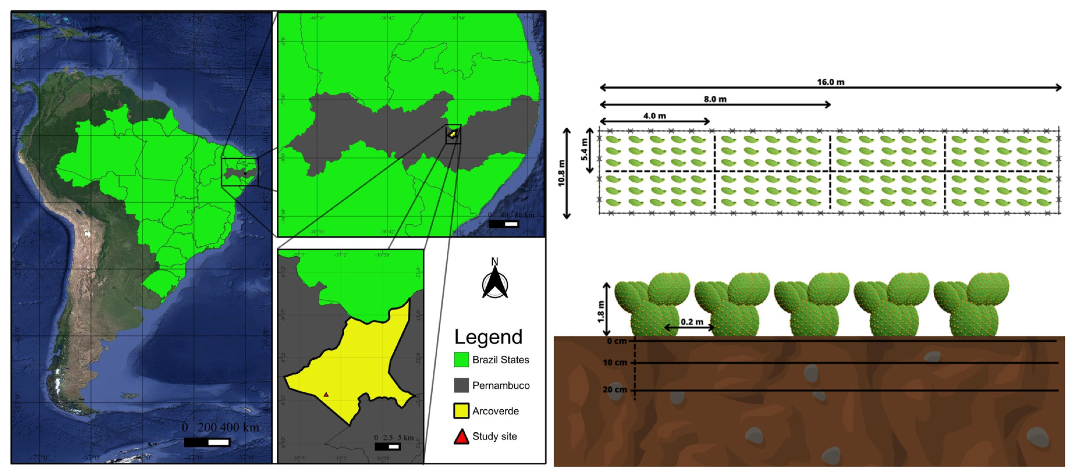 Agronomy 13 02986 g001