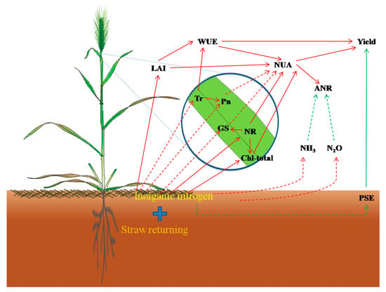 Agronomy | Free Full-Text | Straw Residual Retention on Wheat ...