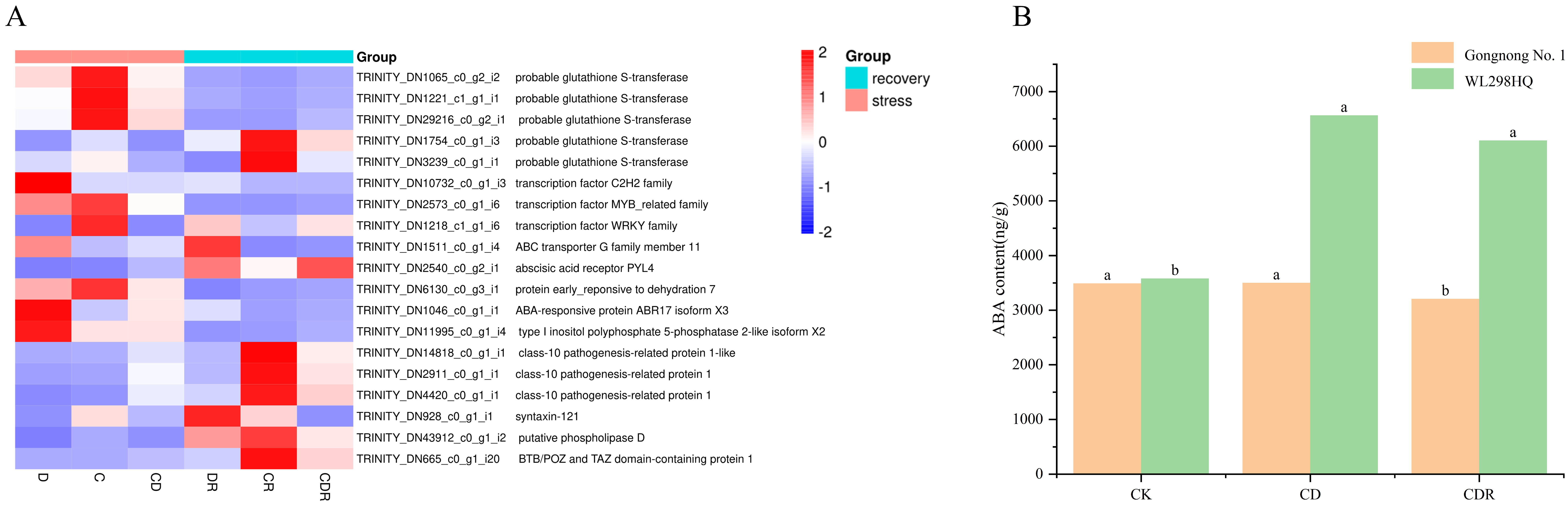 Agronomy 13 03002 g006