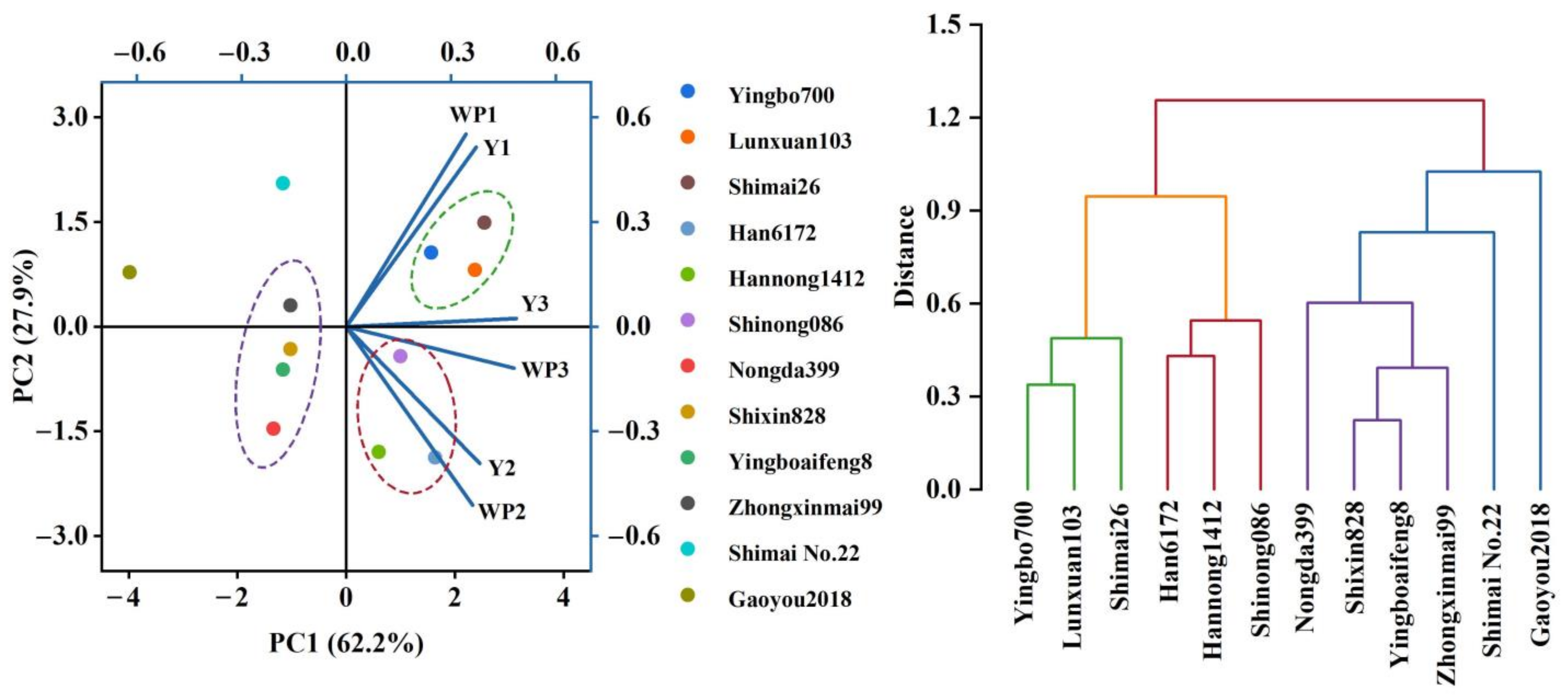 Agronomy 13 03041 g010