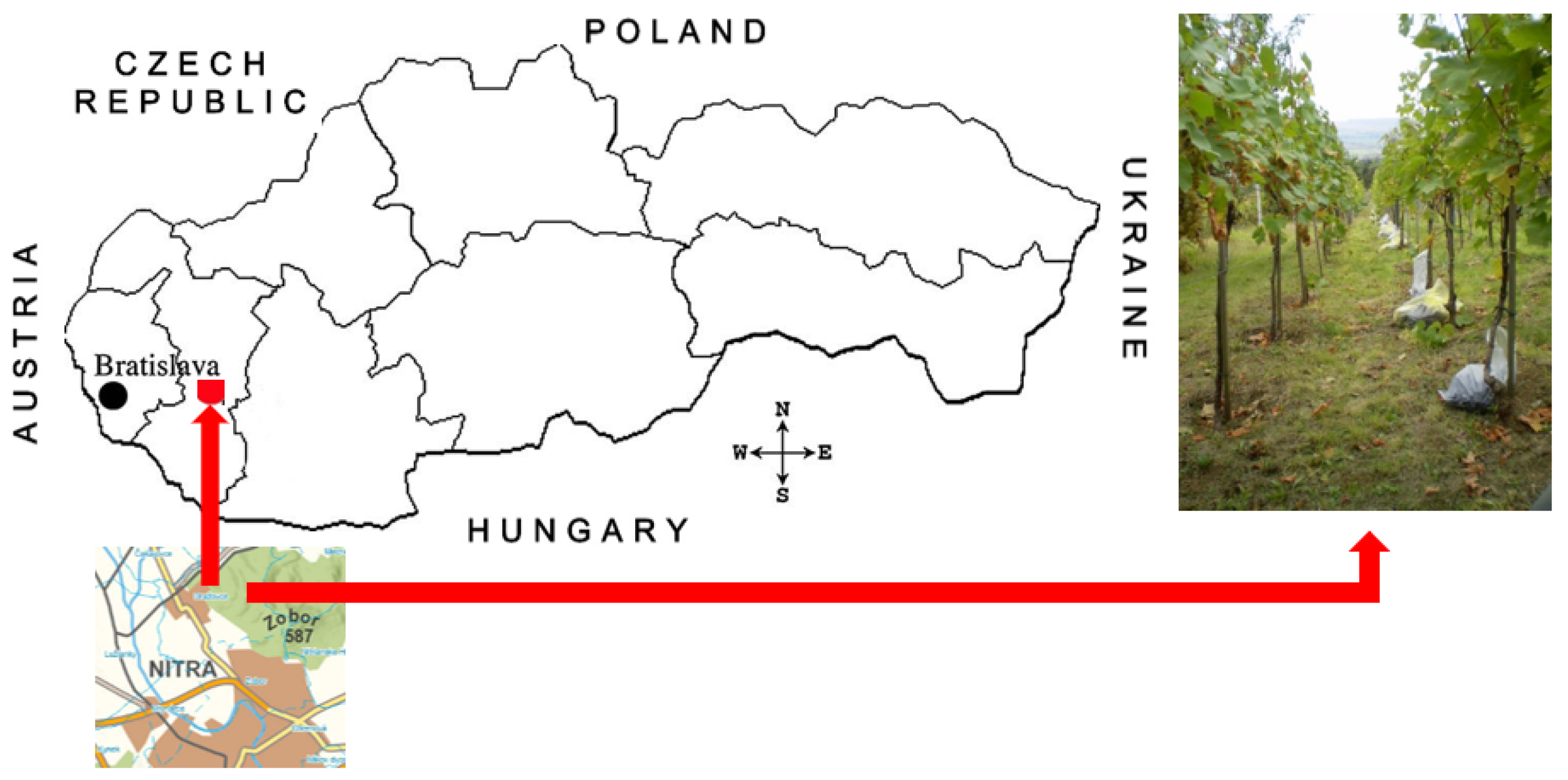 Agronomy 13 03042 g001 Agronomy 13 03042 g001