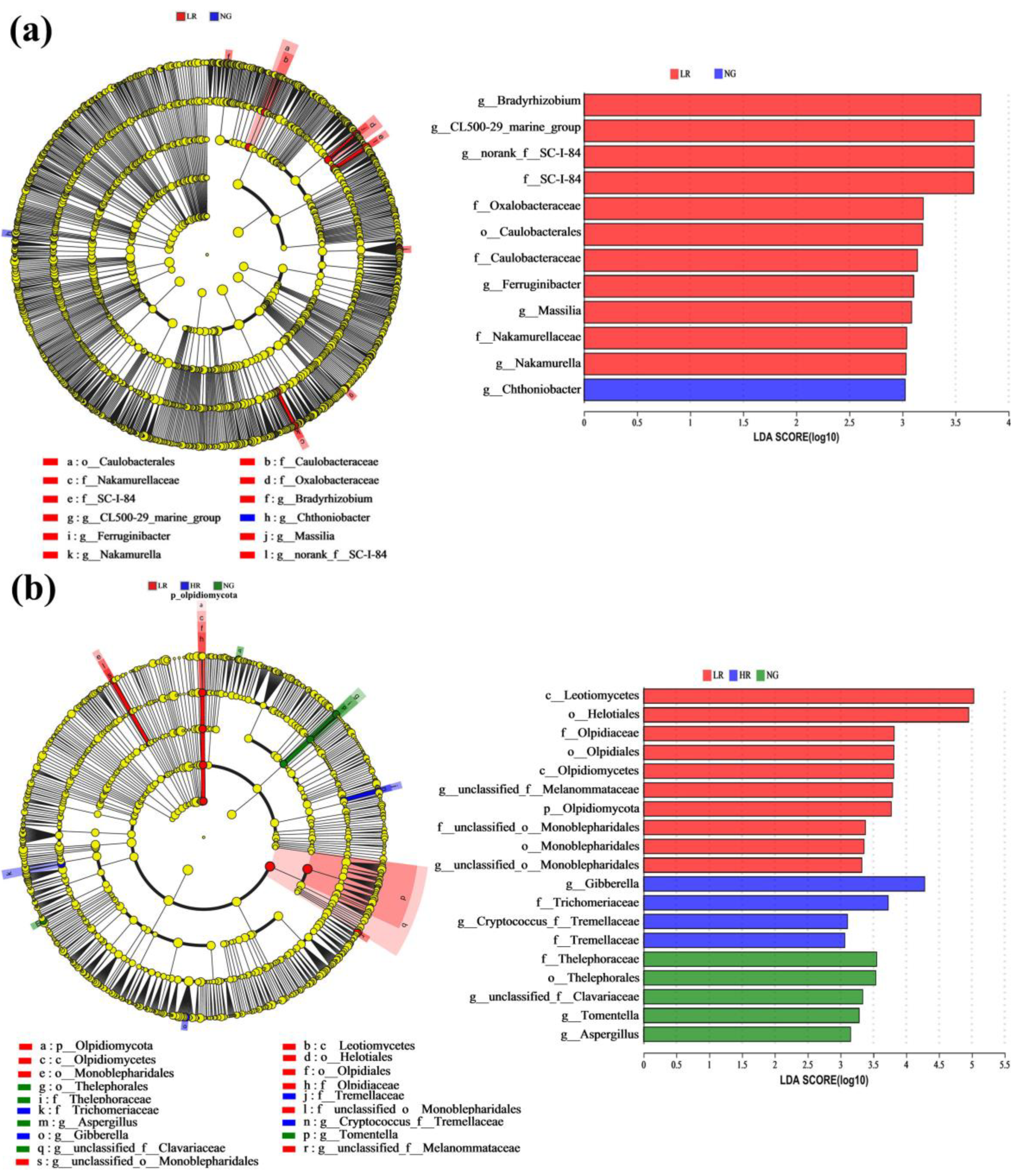 Agronomy 13 03052 g007
