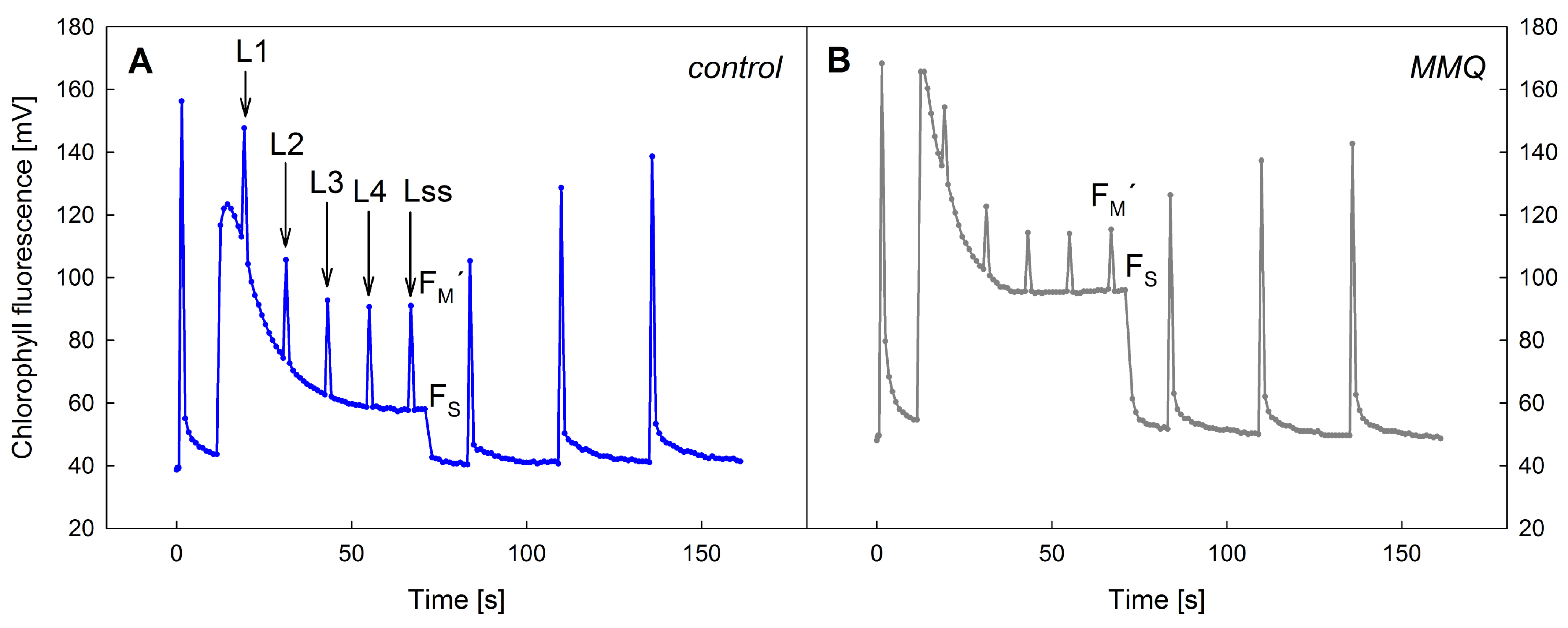 Agronomy 14 00010 g001