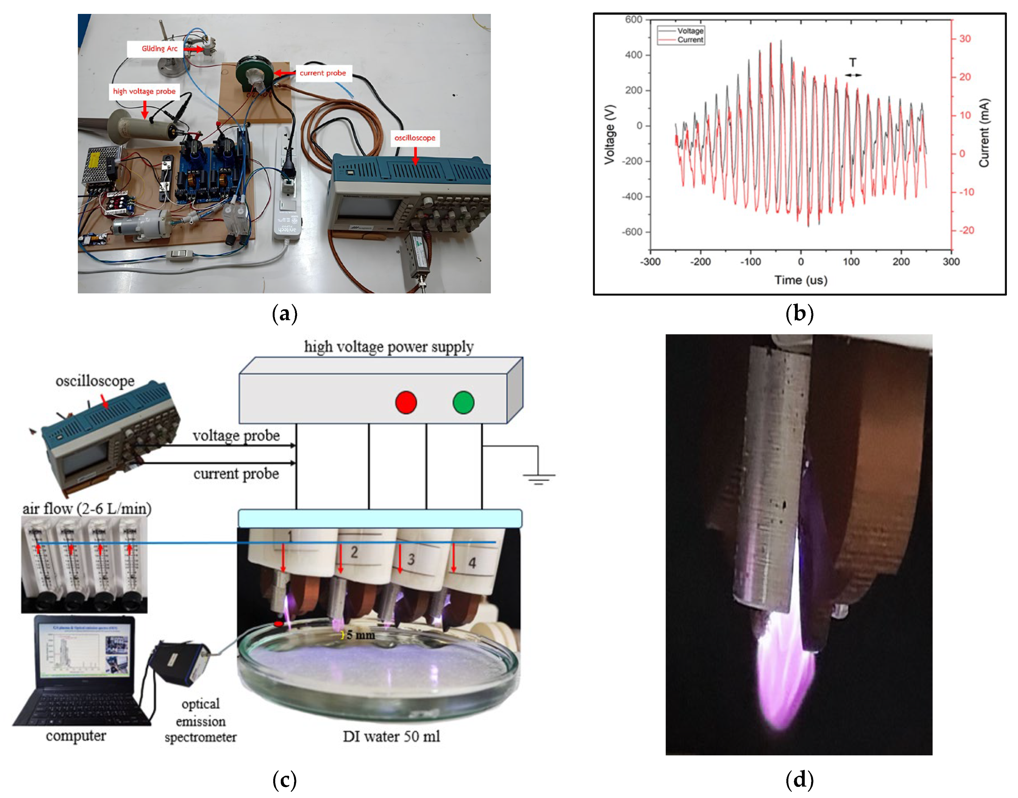 Agronomy 14 00015 g001