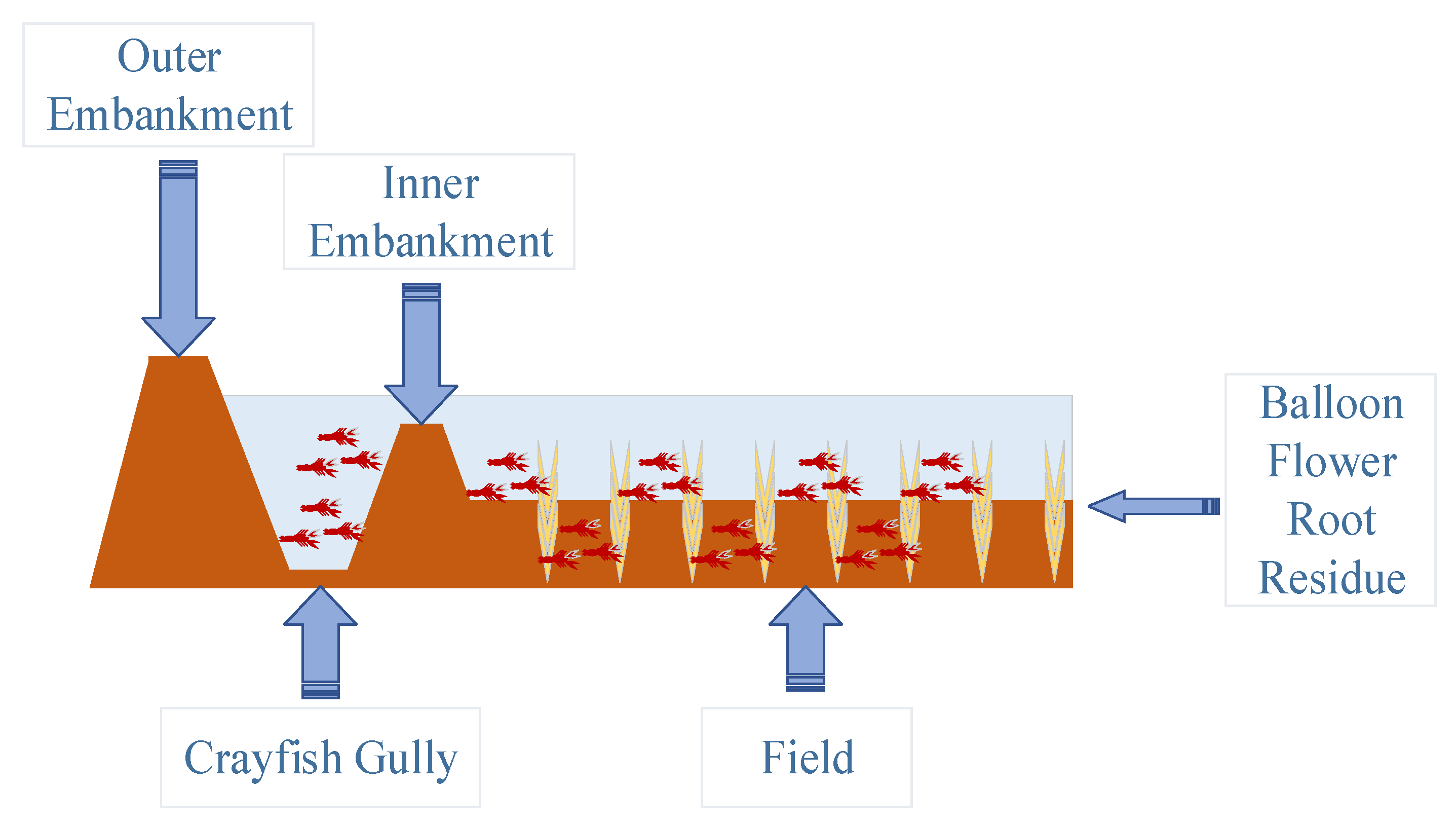 Agronomy | Free Full-Text | Impact of Integrated Rice-Crayfish Farming ...