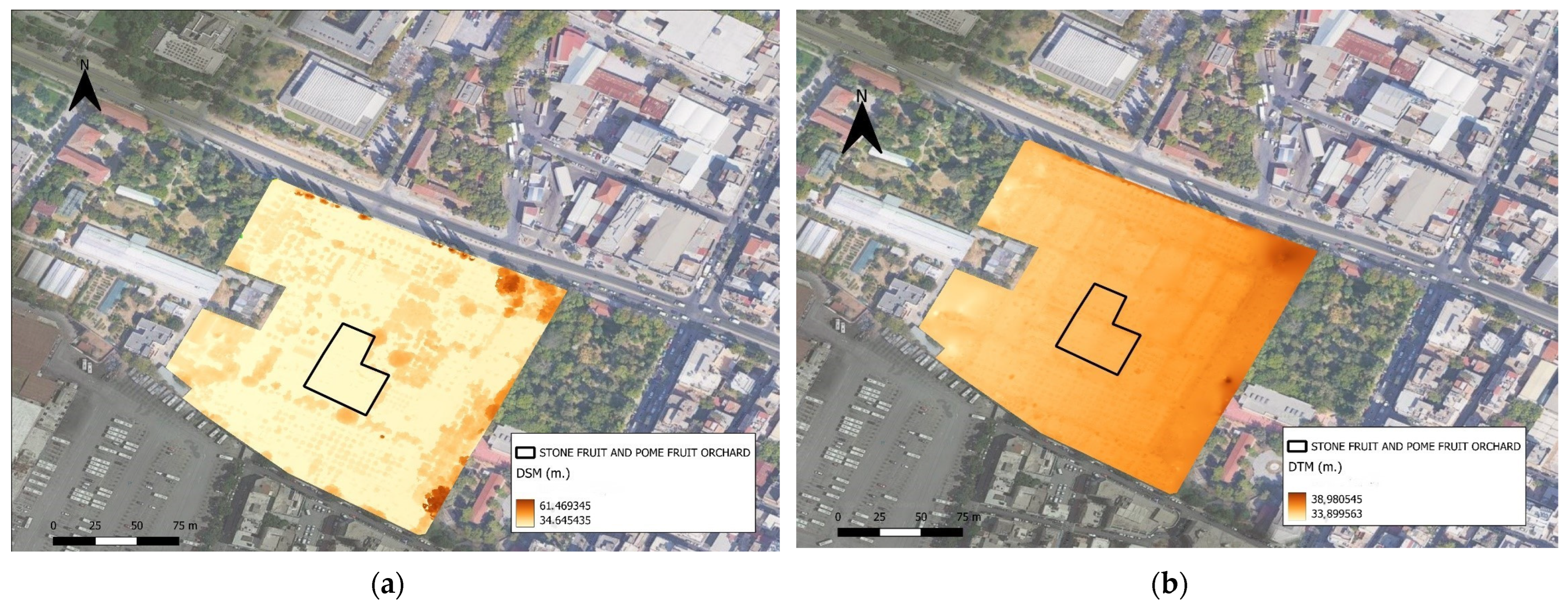 Agronomy 14 00020 g004