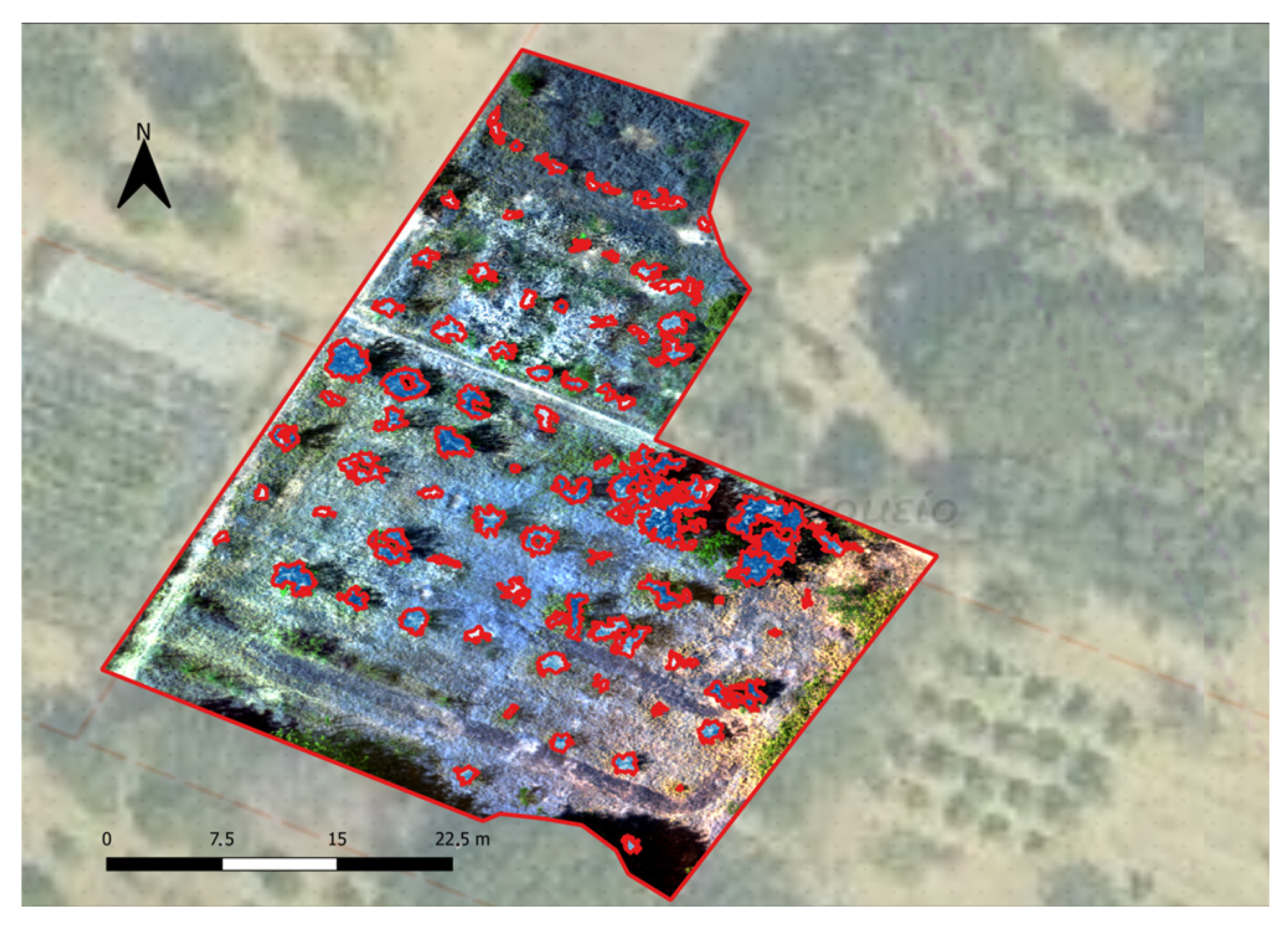 Agronomy 14 00020 g006