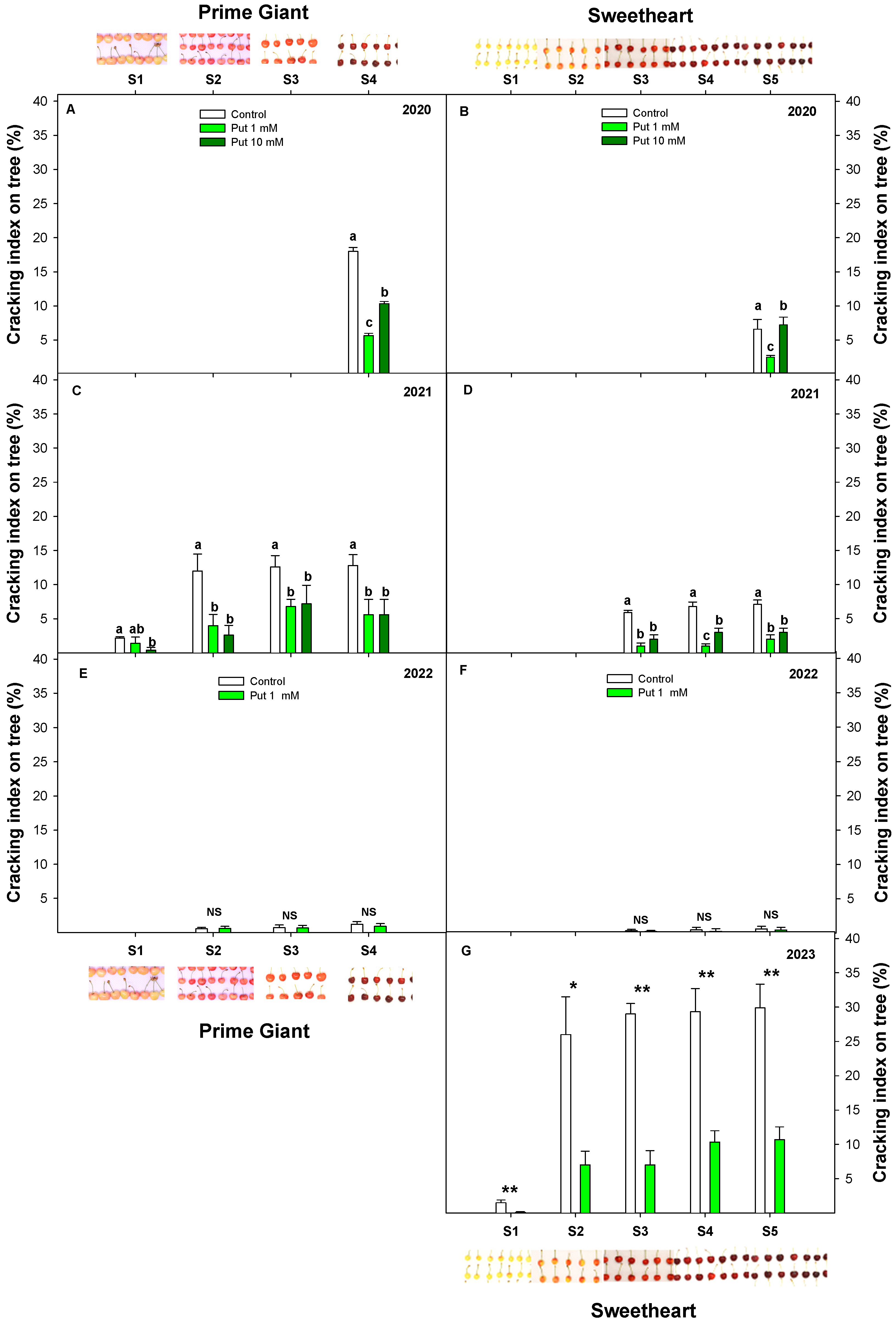 Agronomy 14 00023 g004