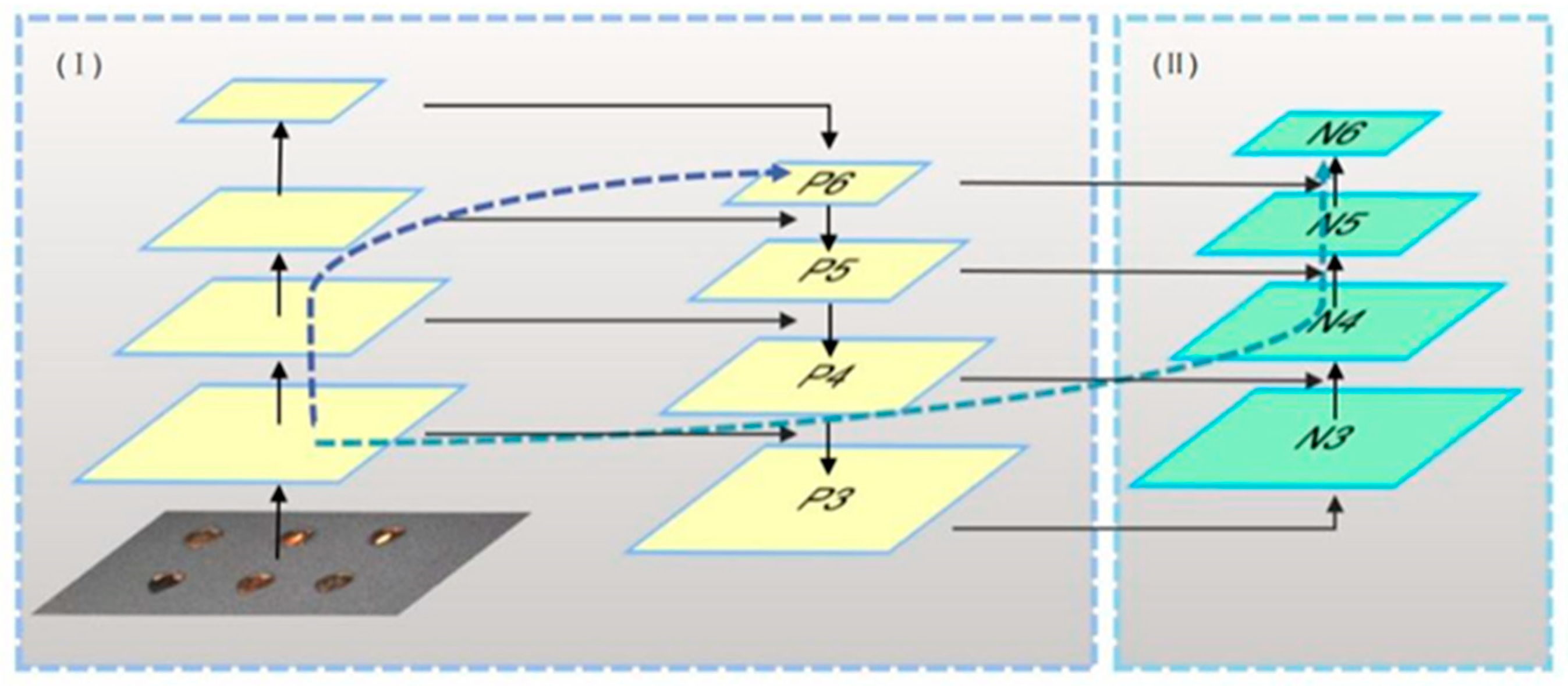Agronomy 14 00037 g006