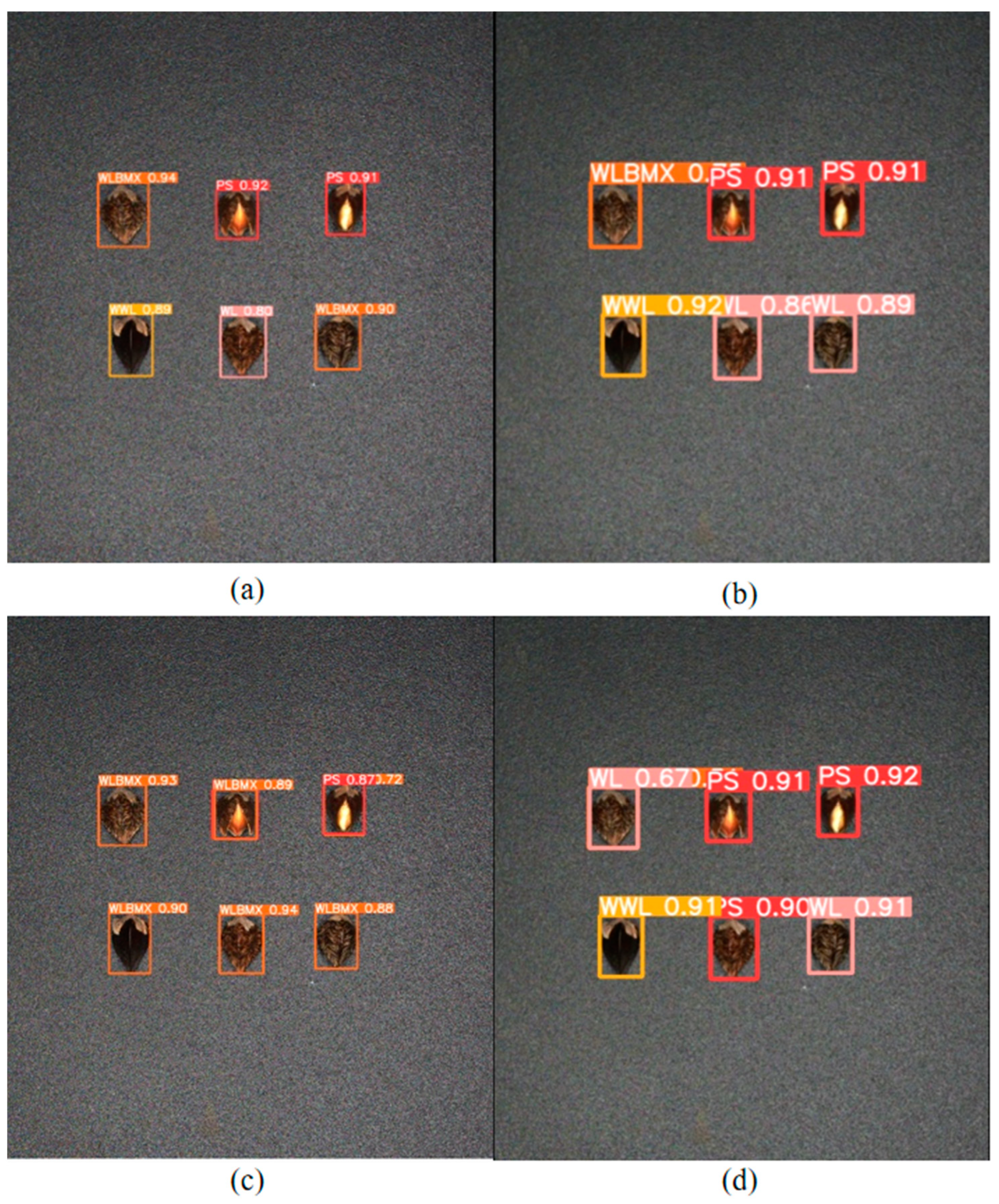 Agronomy 14 00037 g016