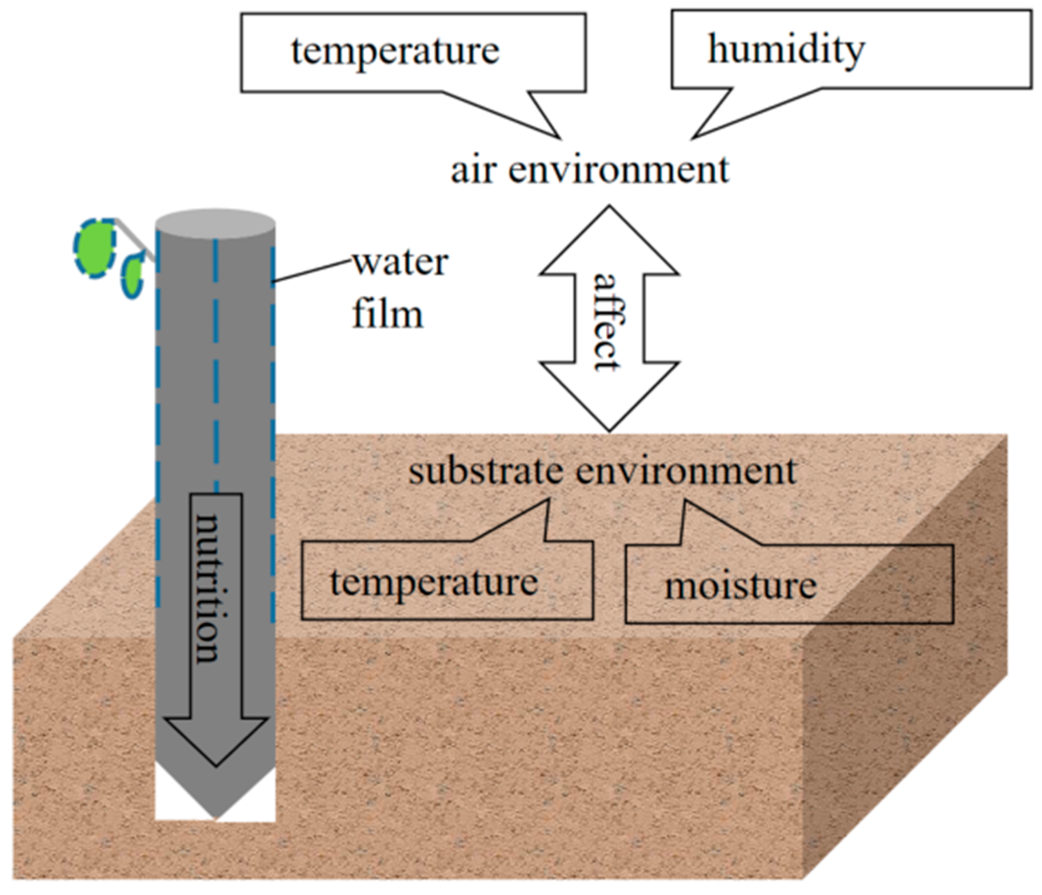 Agronomy 14 00058 g004 Agronomy 14 00058 g004
