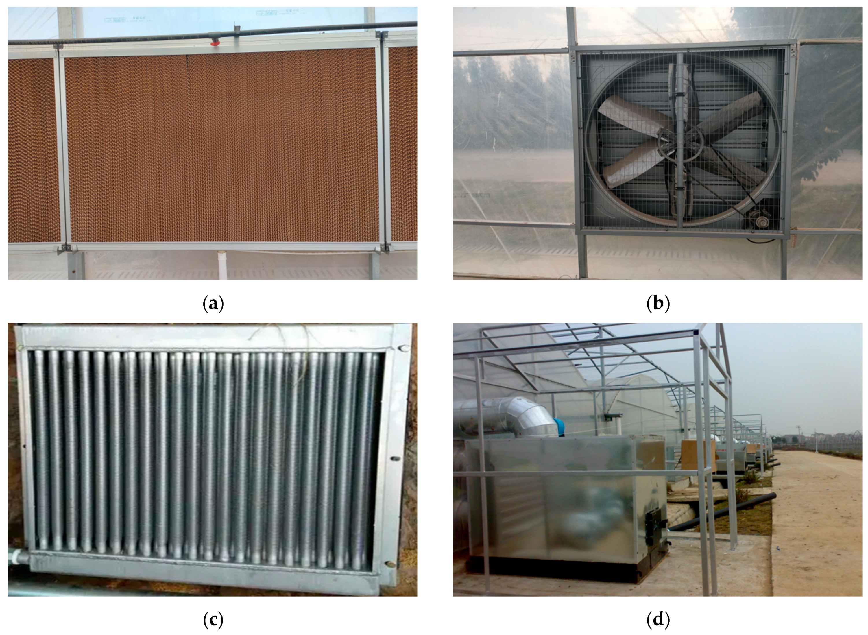 Agronomy 14 00058 g005 Agronomy 14 00058 g005