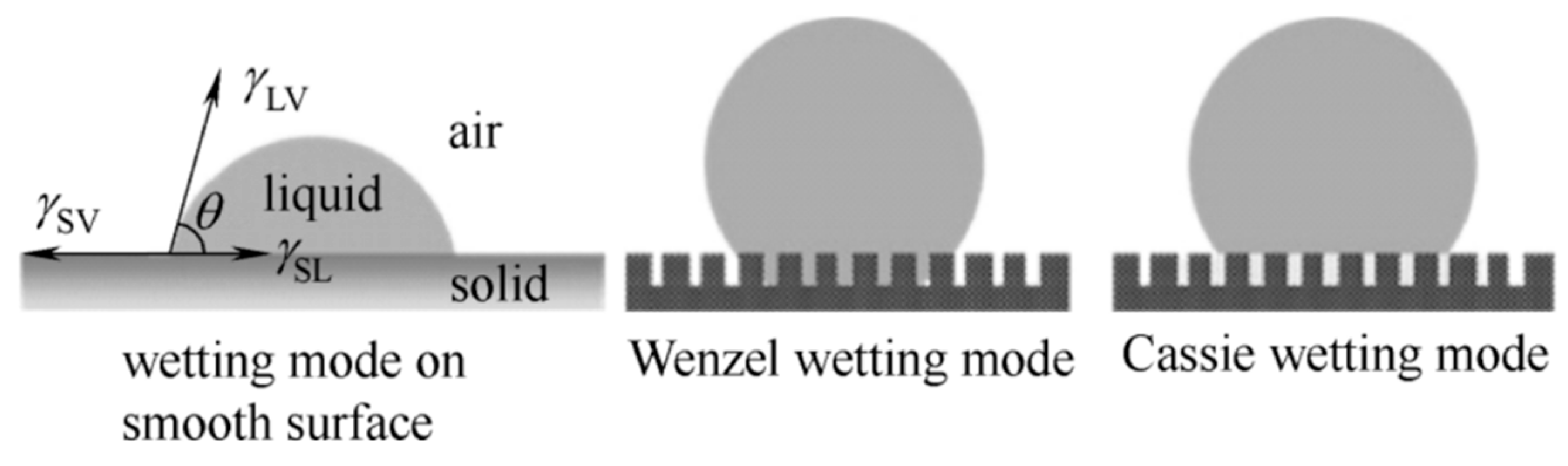 Agronomy 14 00058 g009 Agronomy 14 00058 g009