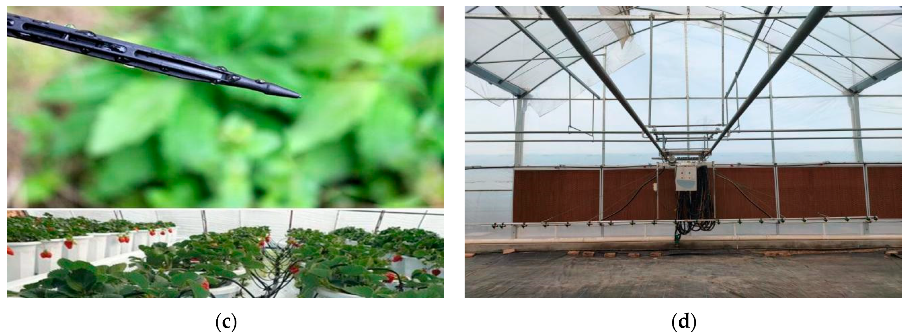 Agronomy 14 00058 g012b Agronomy 14 00058 g012b