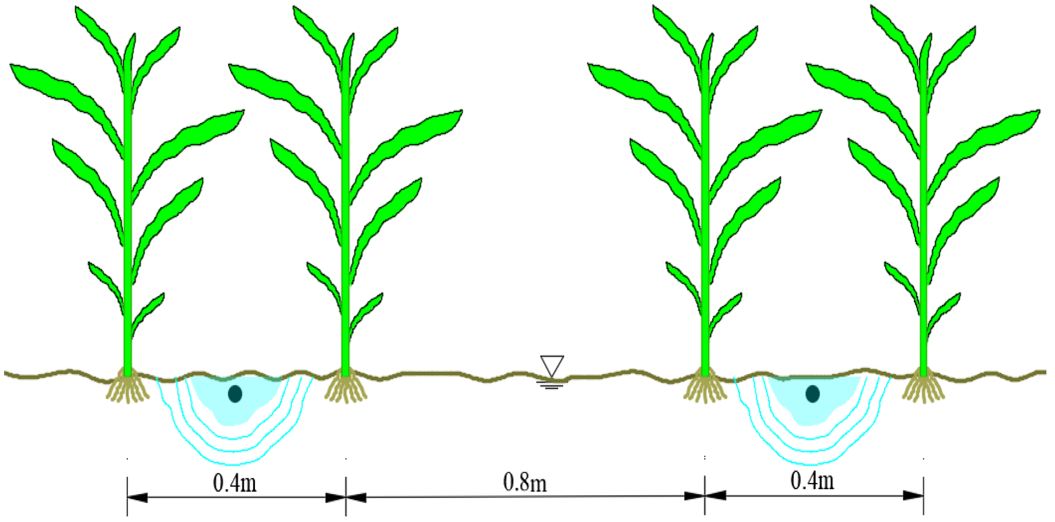 Agronomy 14 00063 g002