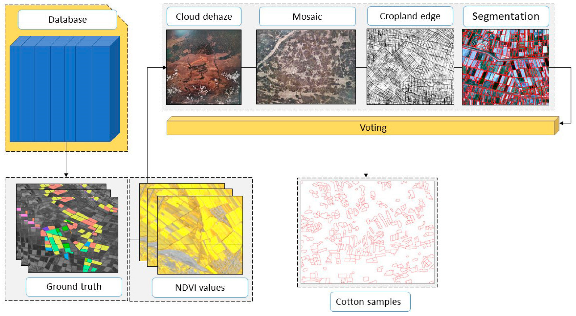 Agronomy 14 00075 g004