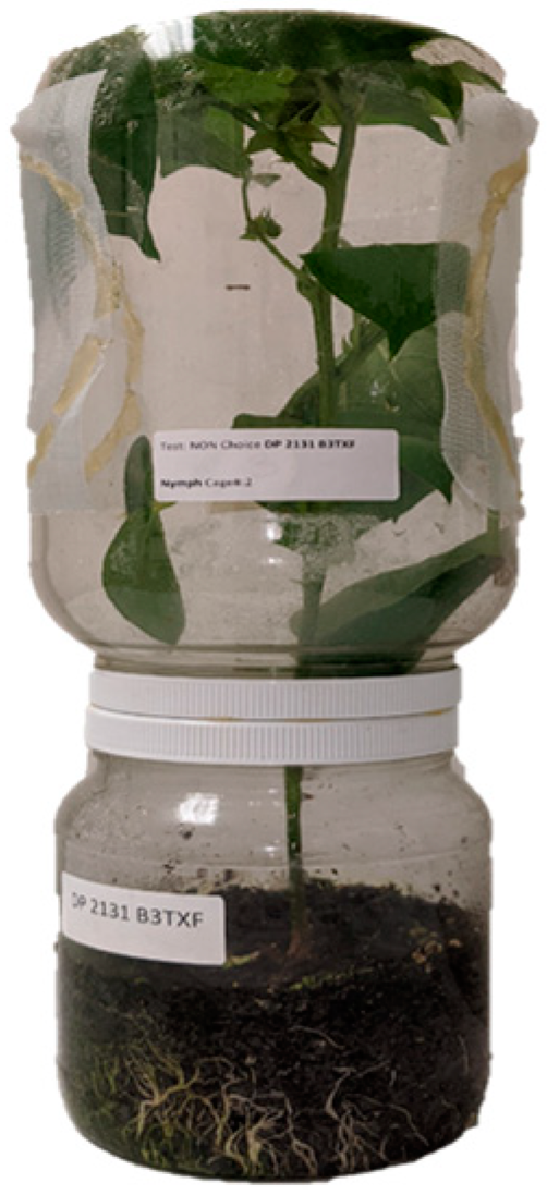 Agronomy 14 00084 g001