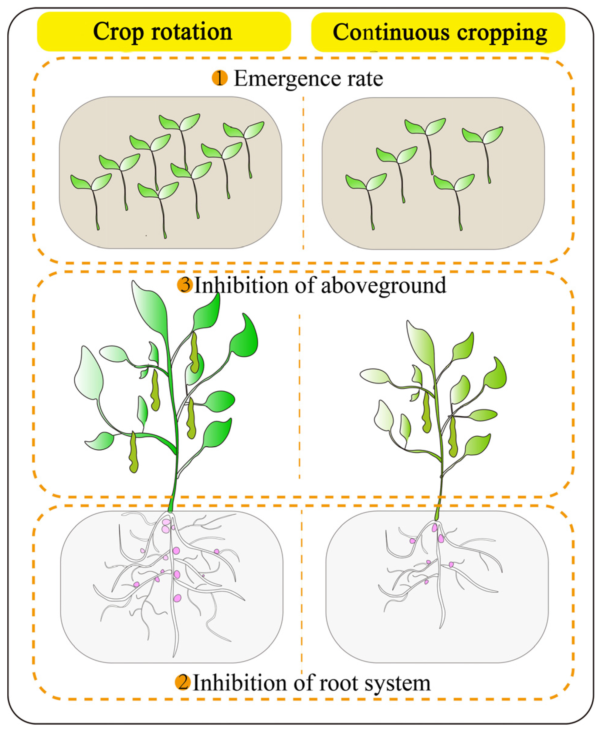 Agronomy 14 00104 g001