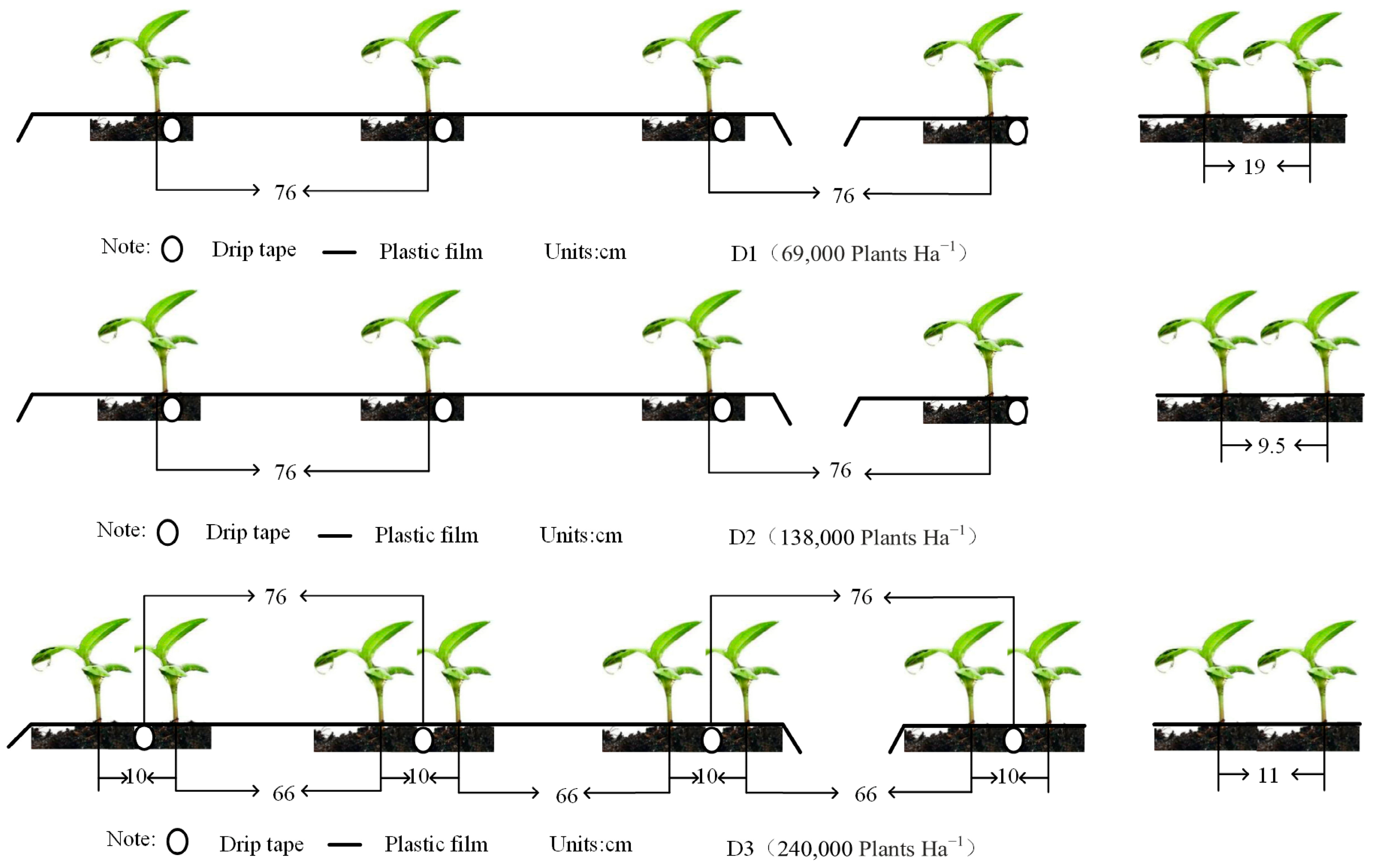 Agronomy 14 00120 g002