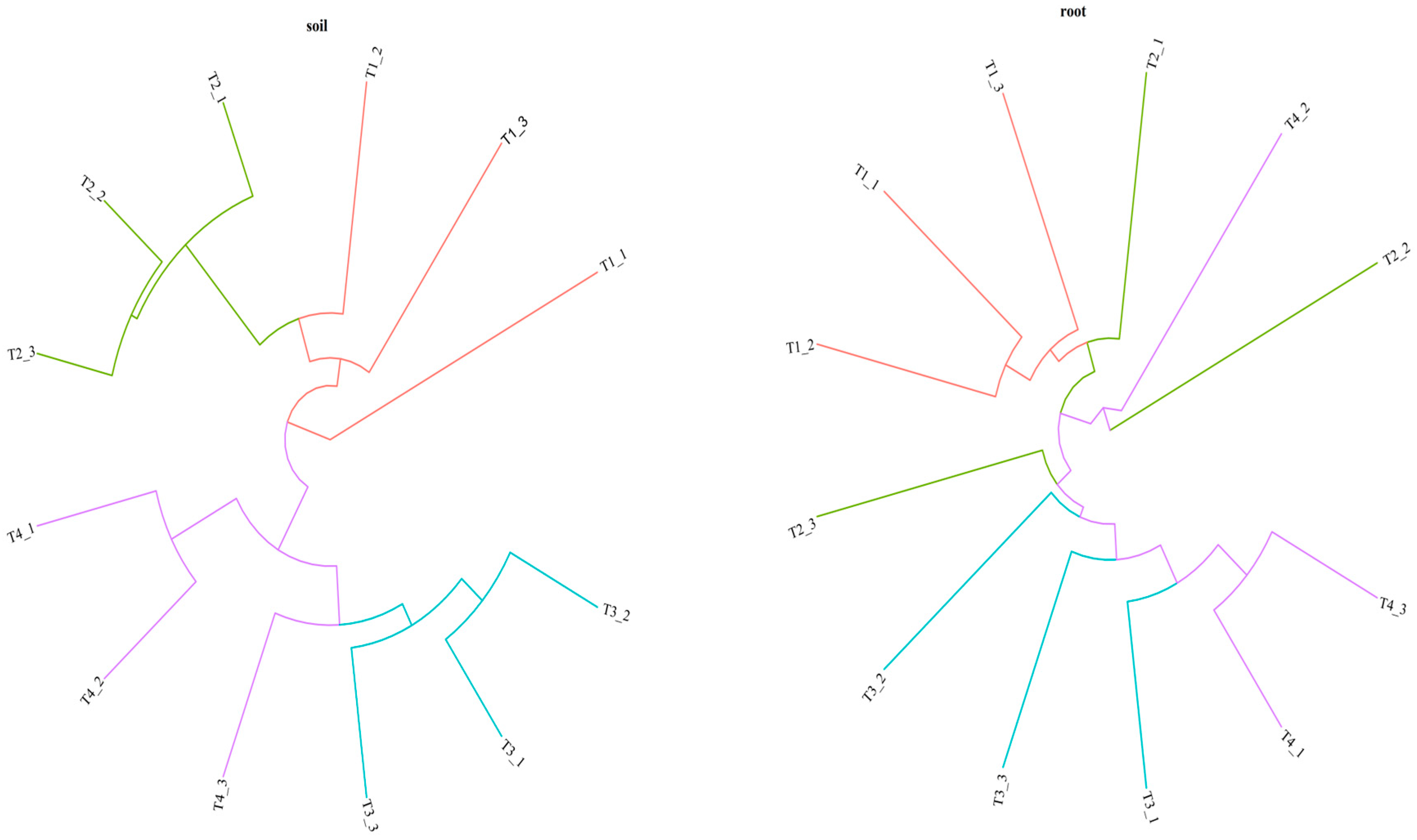 Agronomy 14 00125 g003