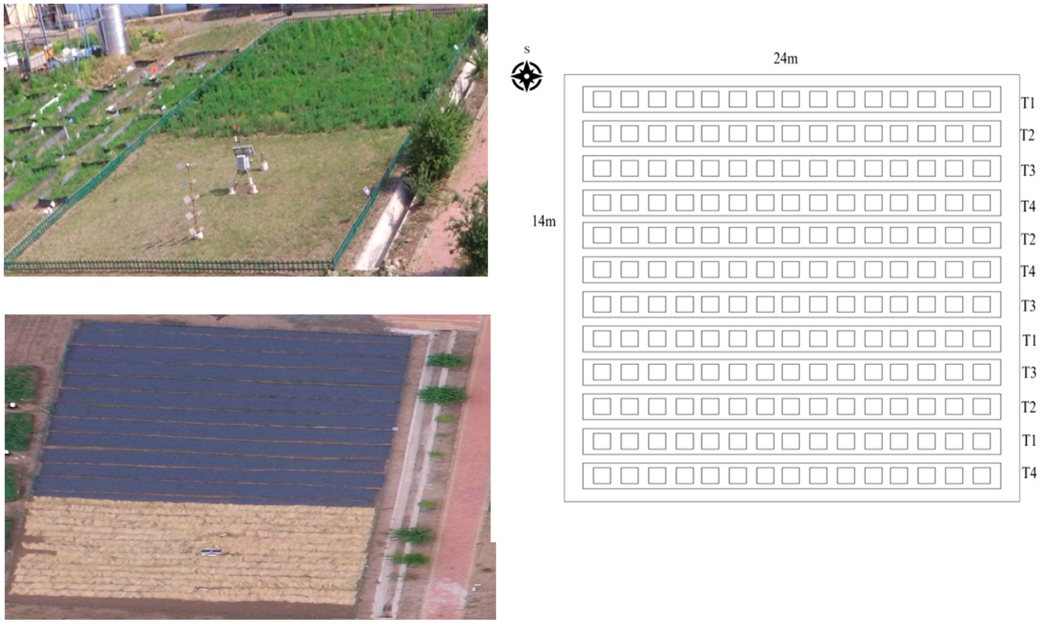 Agronomy 14 00125 g0a1