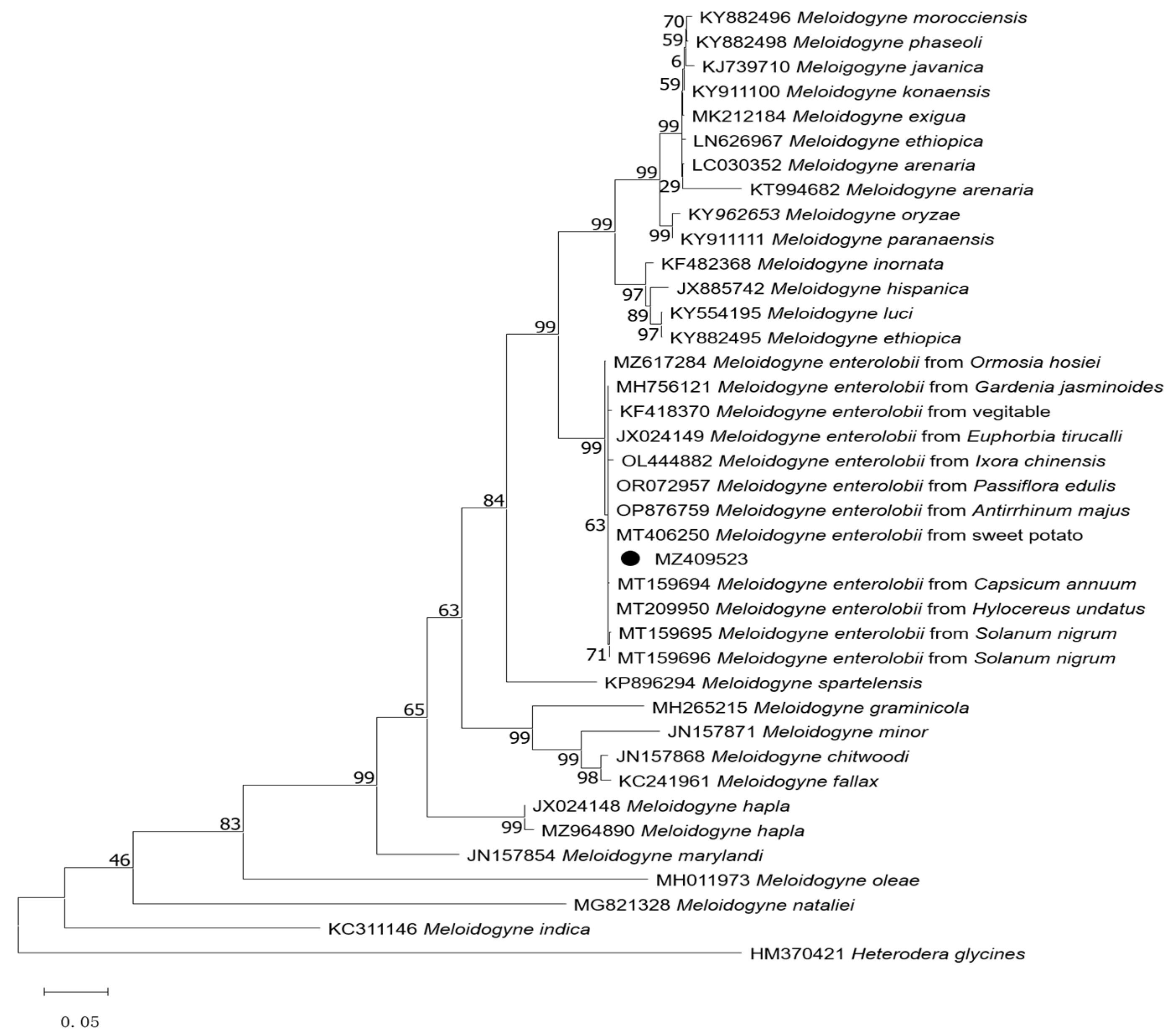 Agronomy 14 00129 g004
