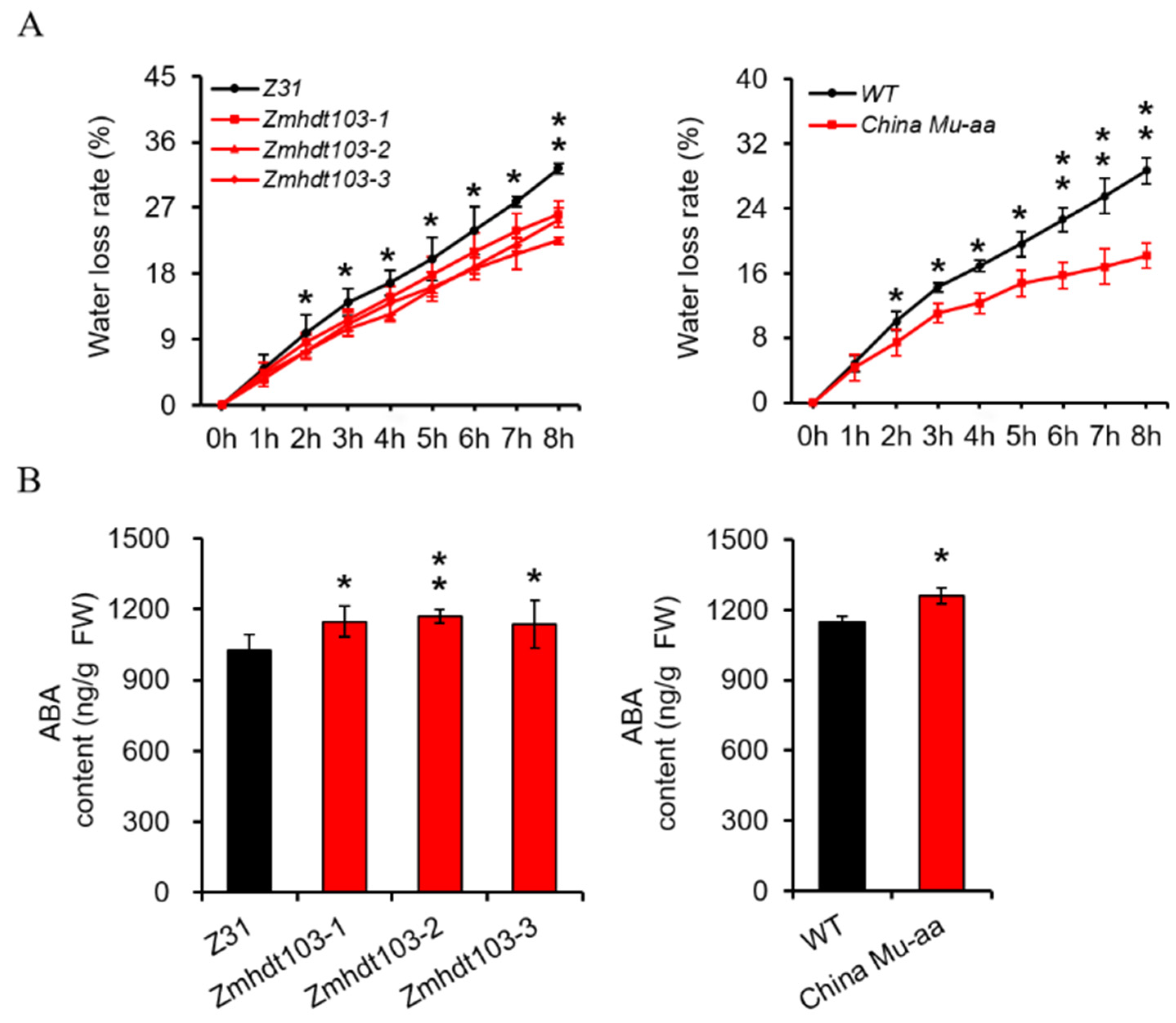 Agronomy 14 00134 g003