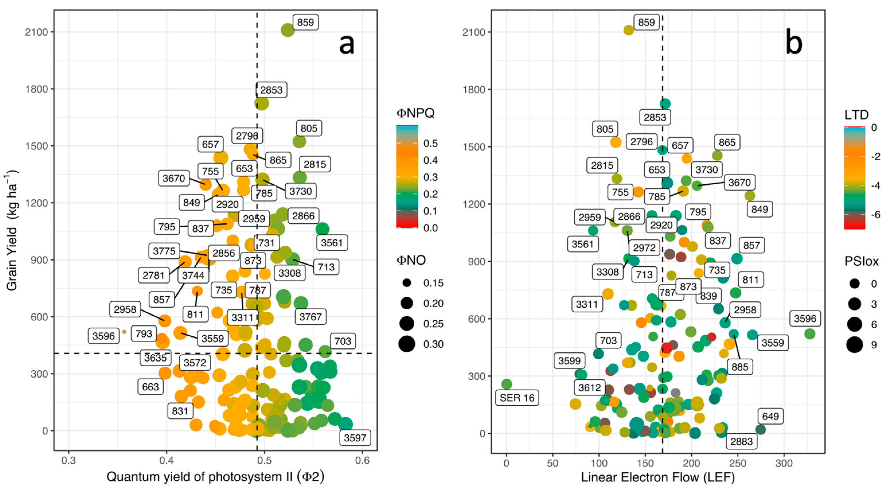 Agronomy 14 00154 g003 Agronomy 14 00154 g003