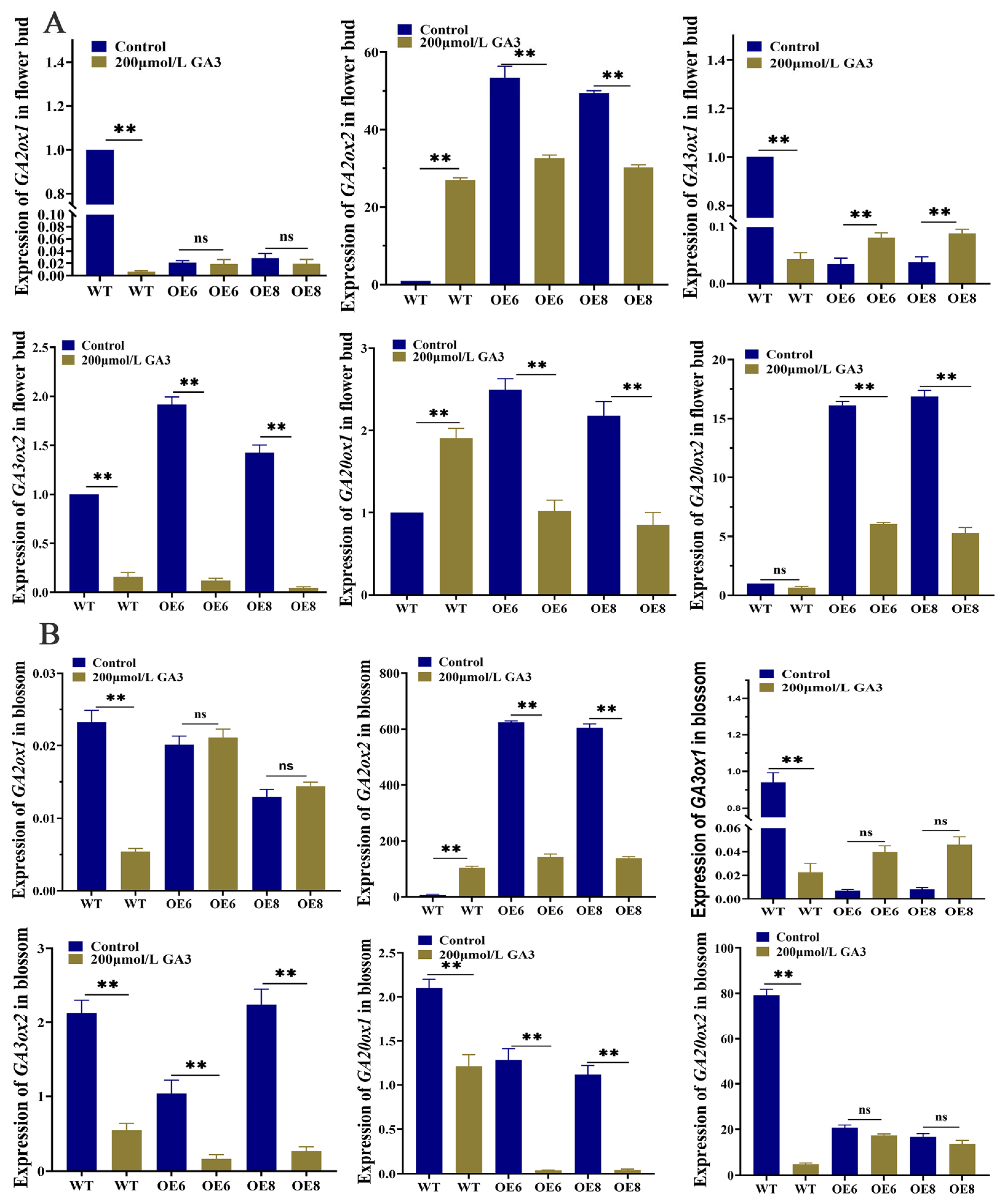 Agronomy 14 00155 g003a
