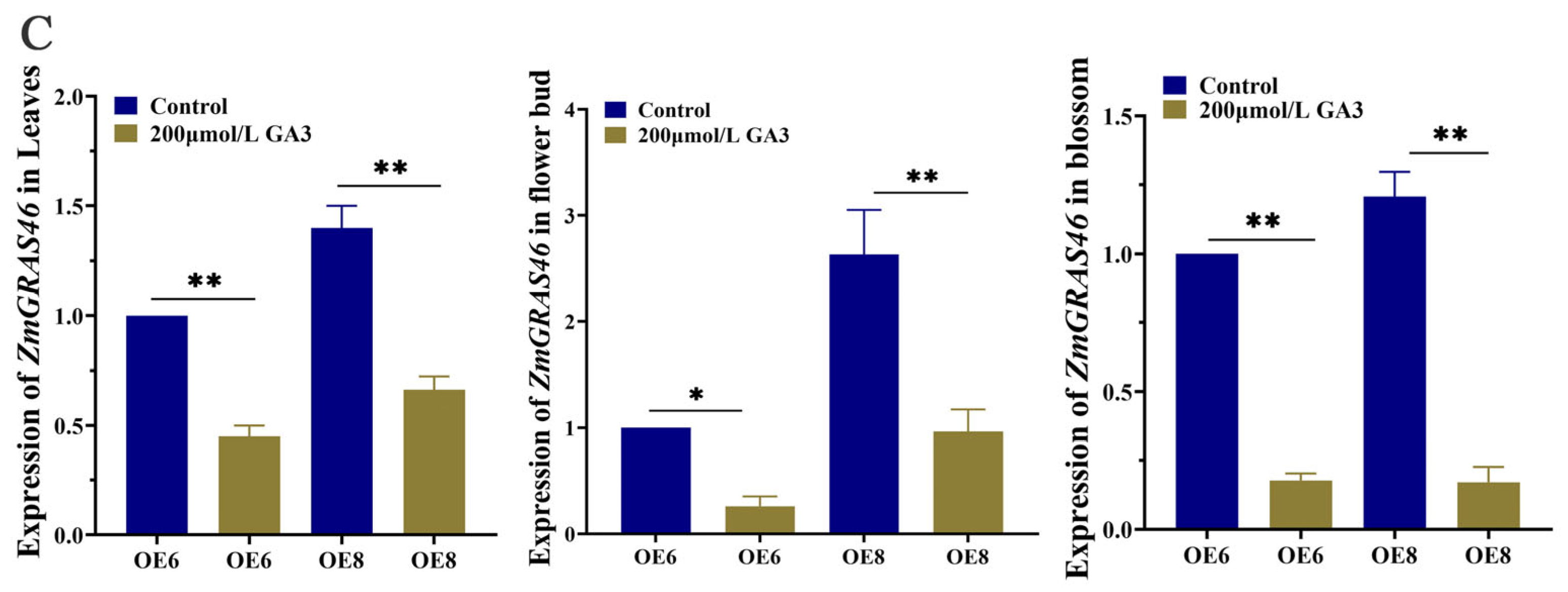 Agronomy 14 00155 g003b