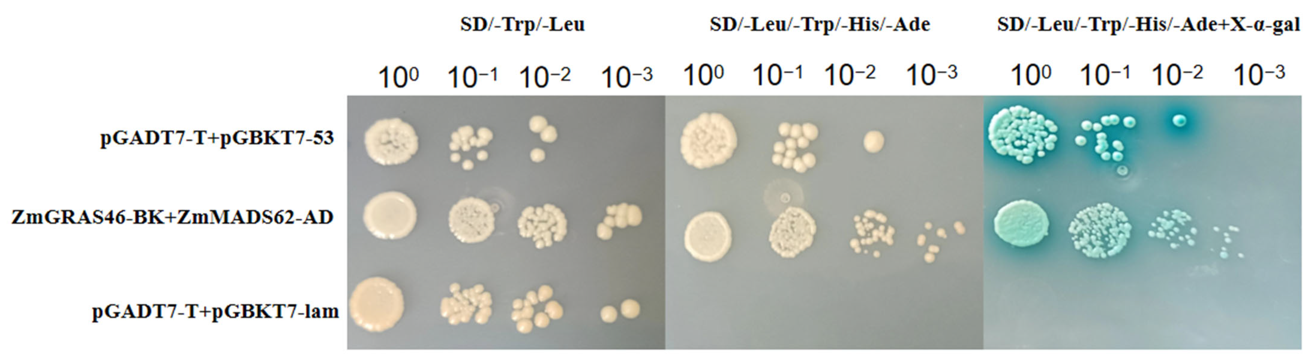 Agronomy 14 00155 g007